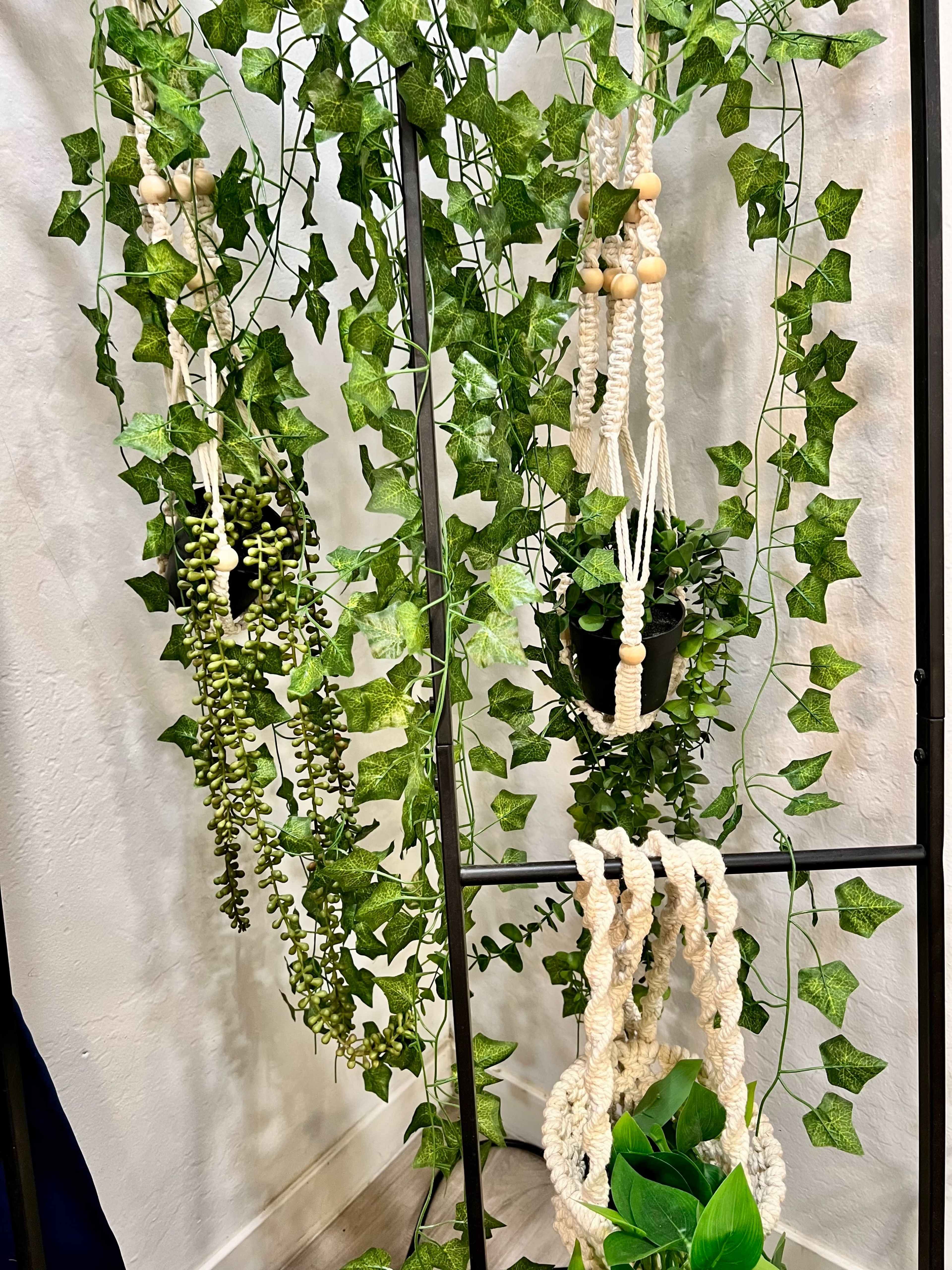 A display of hanging plants secured in macramé planters, surrounded by artificial ivy vines on a metal frame.