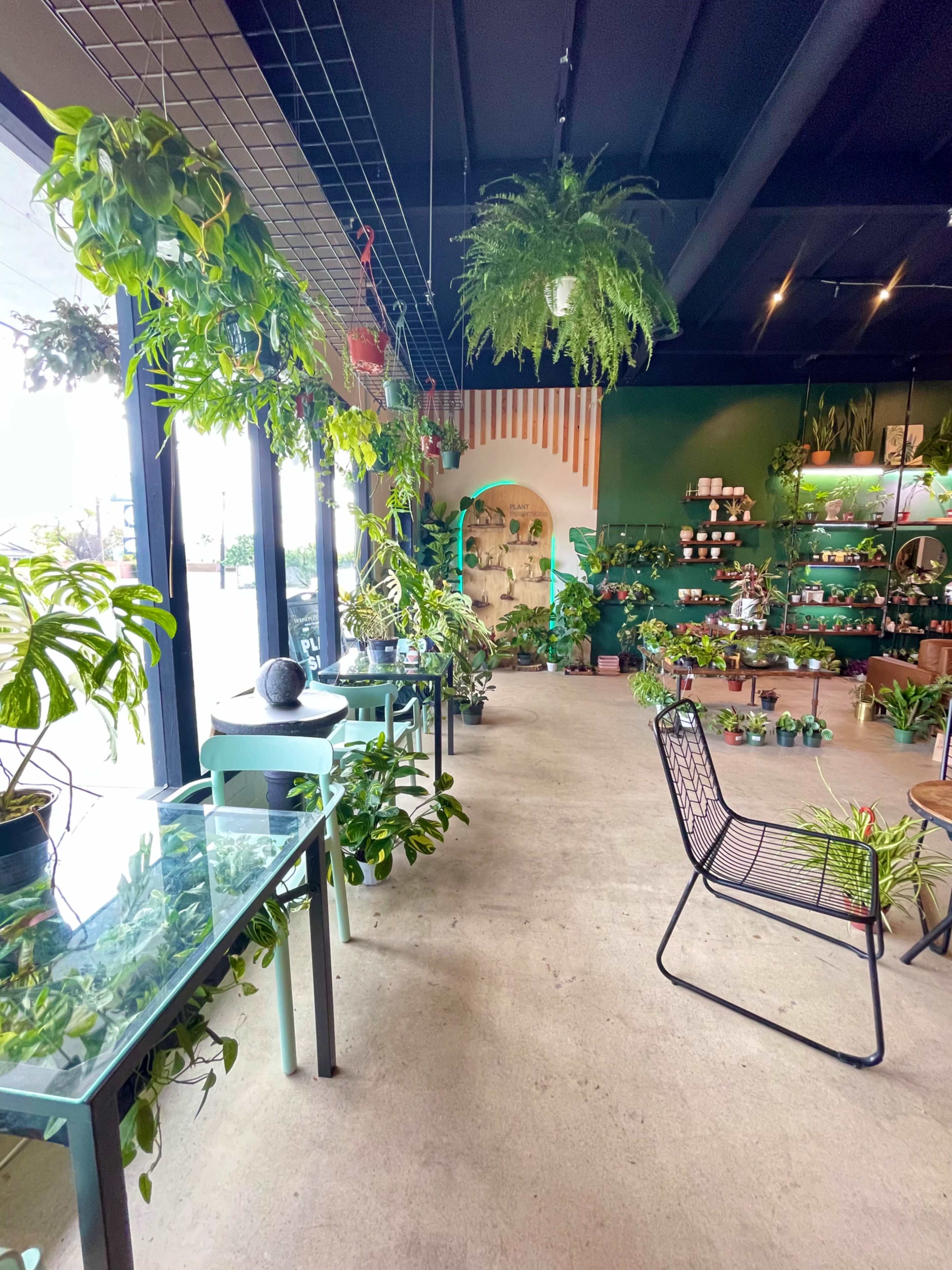 A plant shop interior with various potted plants arranged on shelves and tables, along with hanging greenery and large windows allowing natural light.