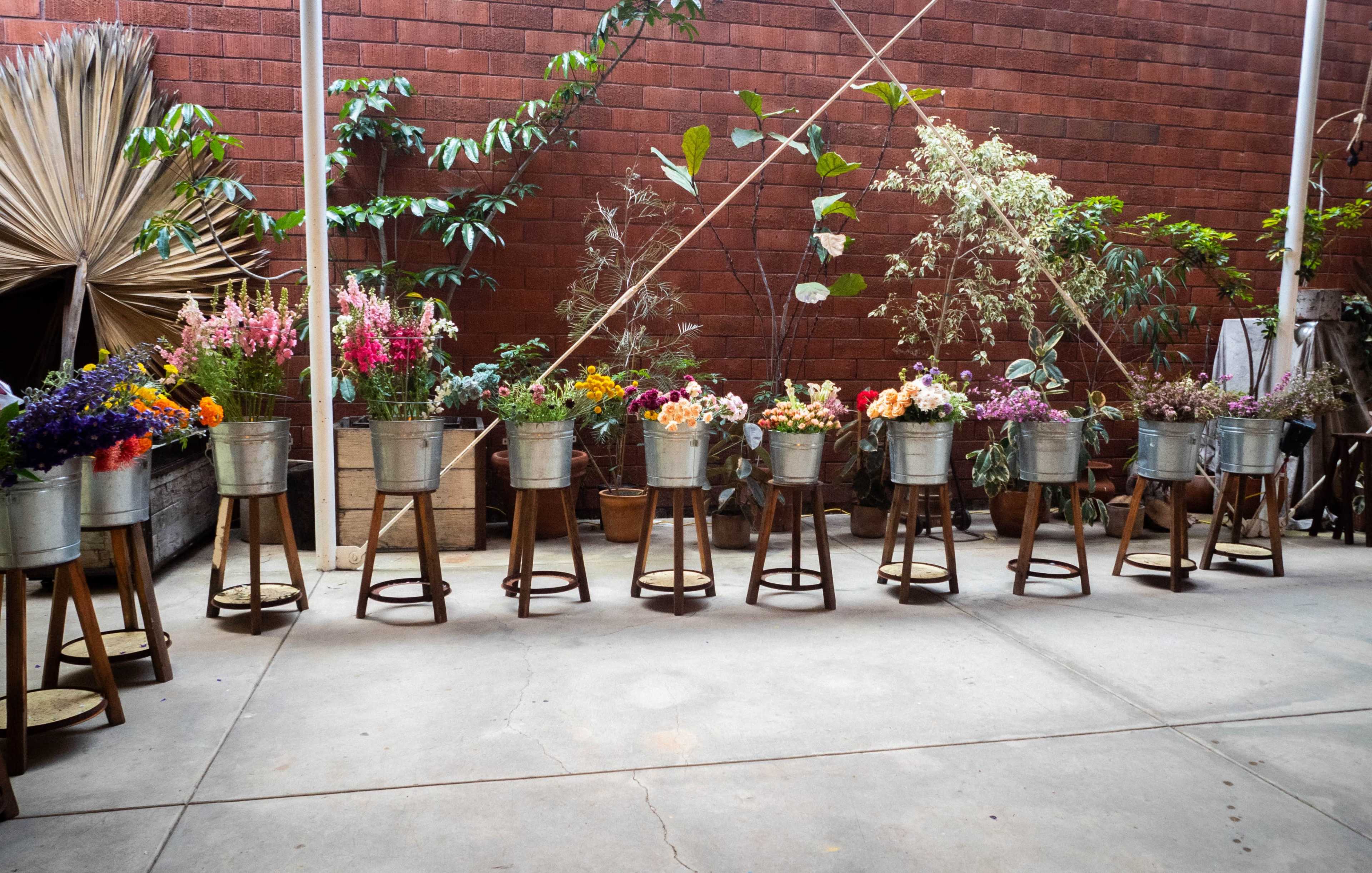 A row of flower pots arranged on wooden stools is situated against a brick wall in a courtyard.