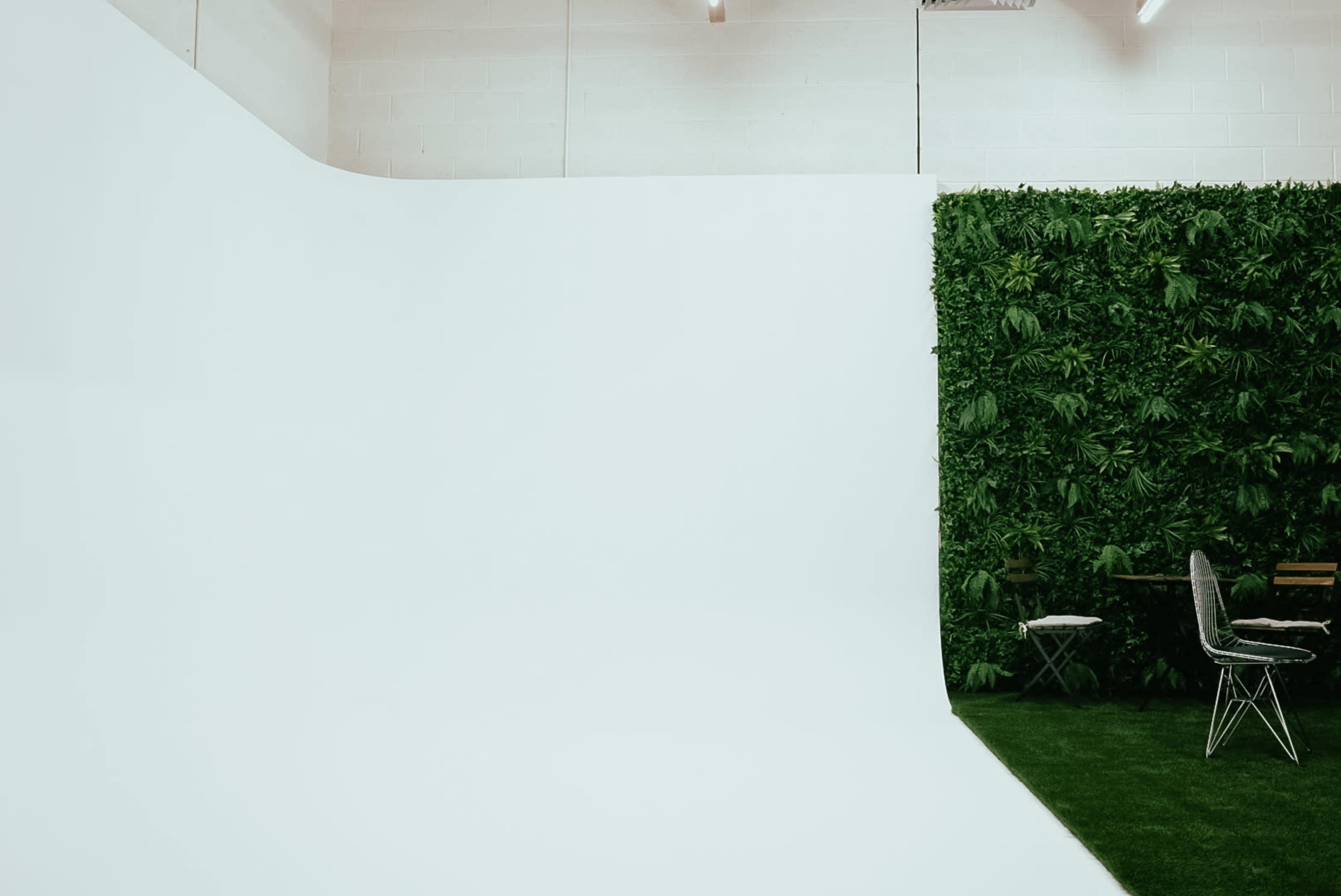 A spacious studio with a large white backdrop on one side and a vertical garden with greenery on the other, accompanied by a simple chair and small table.