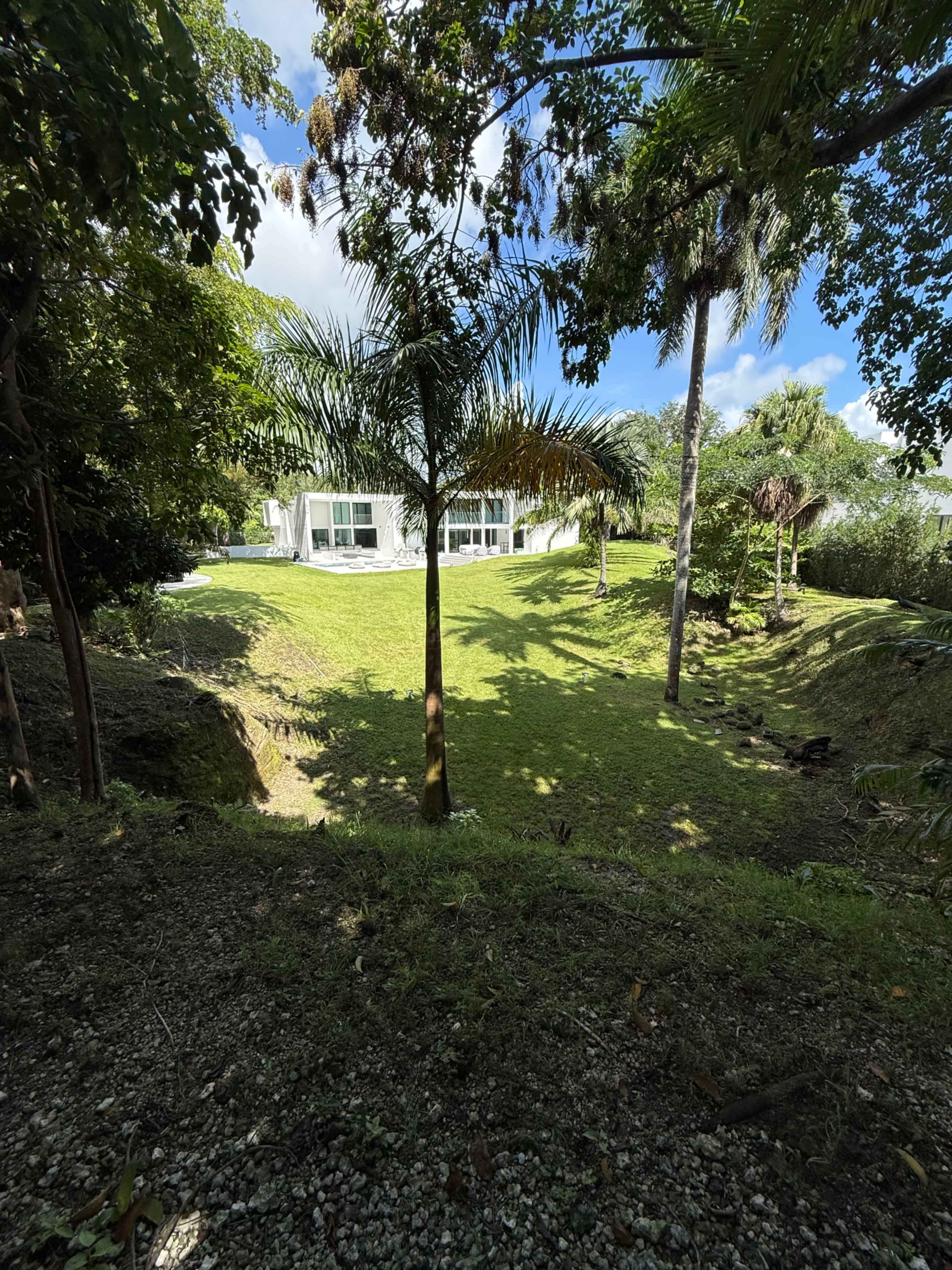 A grassy area is visible in the foreground, leading to a white house surrounded by trees and palm plants in the background.