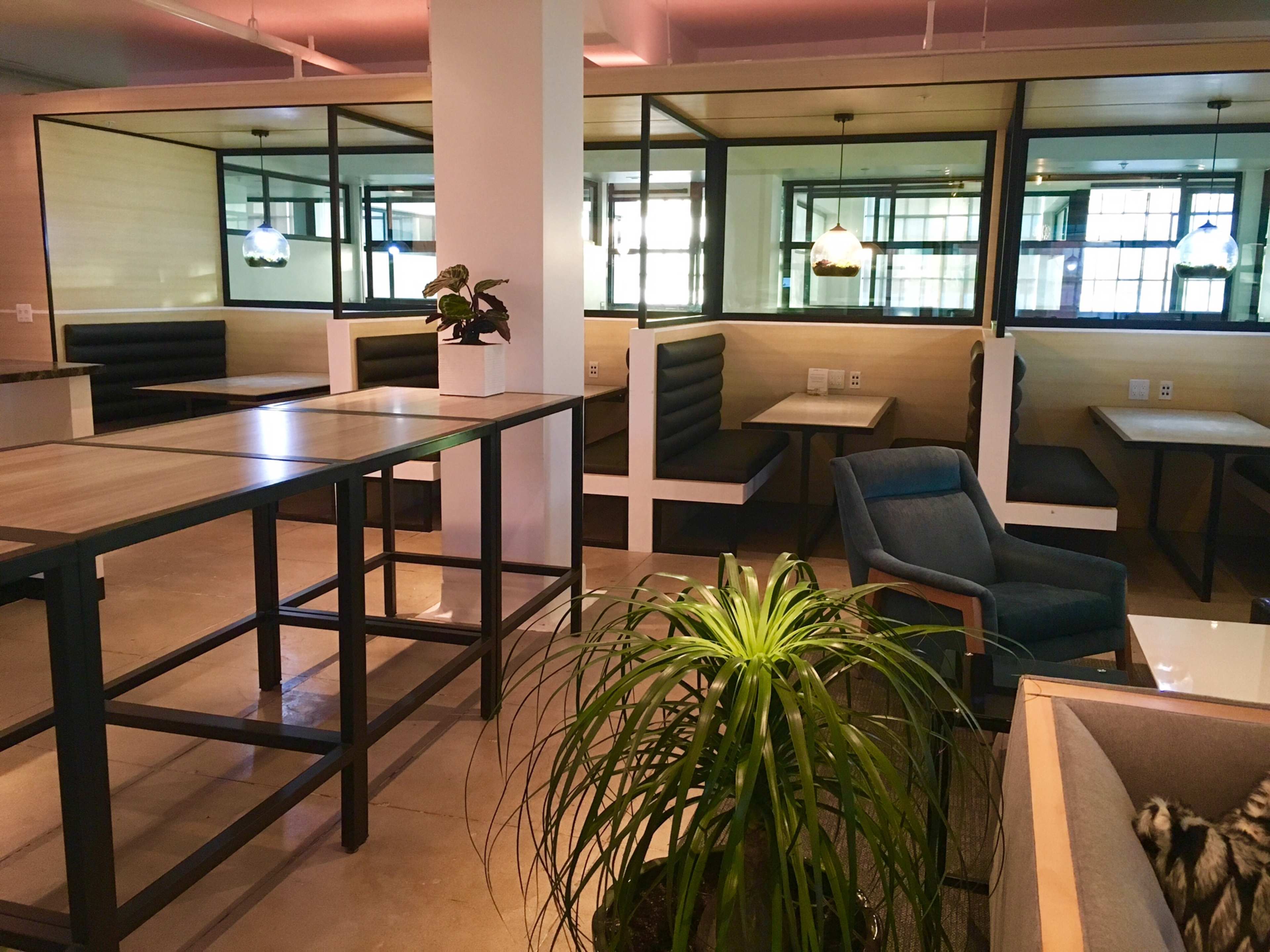 A modern workspace with booth seating enclosed by glass partitions, a tall table, and various plants.