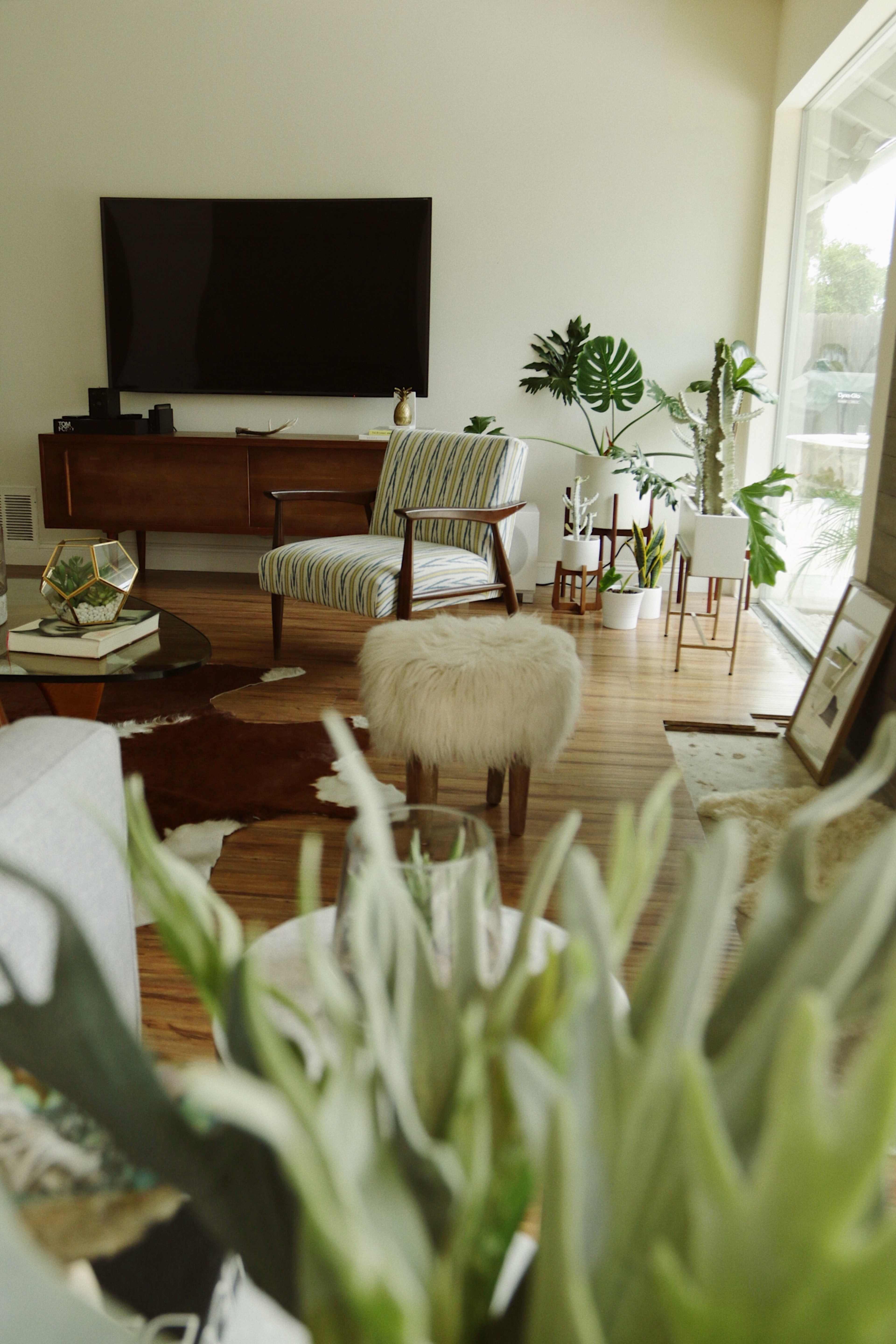 A modern living room features a television on a wooden media console, striped chairs, various potted plants, and a round coffee table with decorative items.