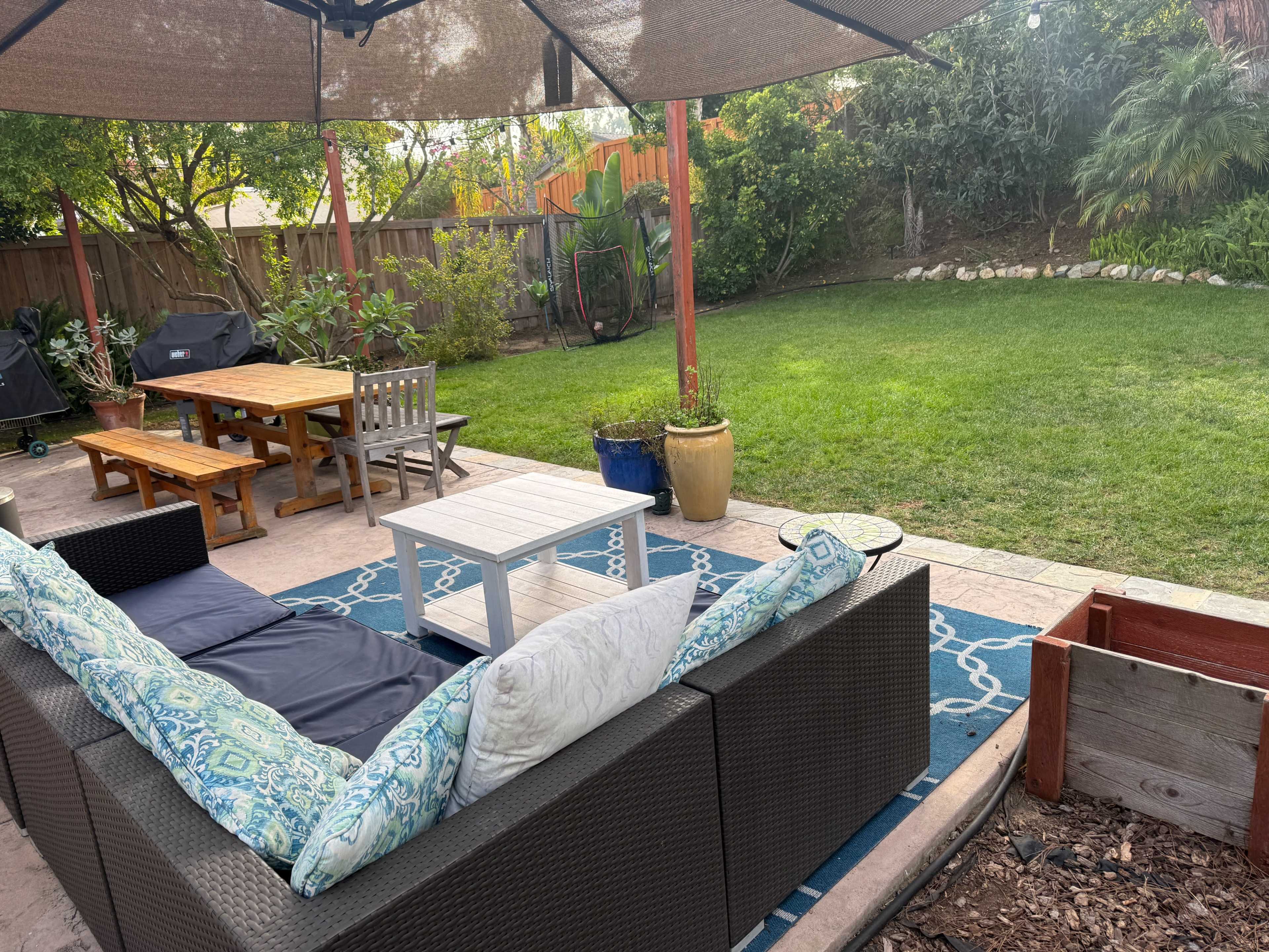 Verdant Green Backyard with palm trees, grass, and privacy! Image in Del Mar Heights, Del Mar, CA