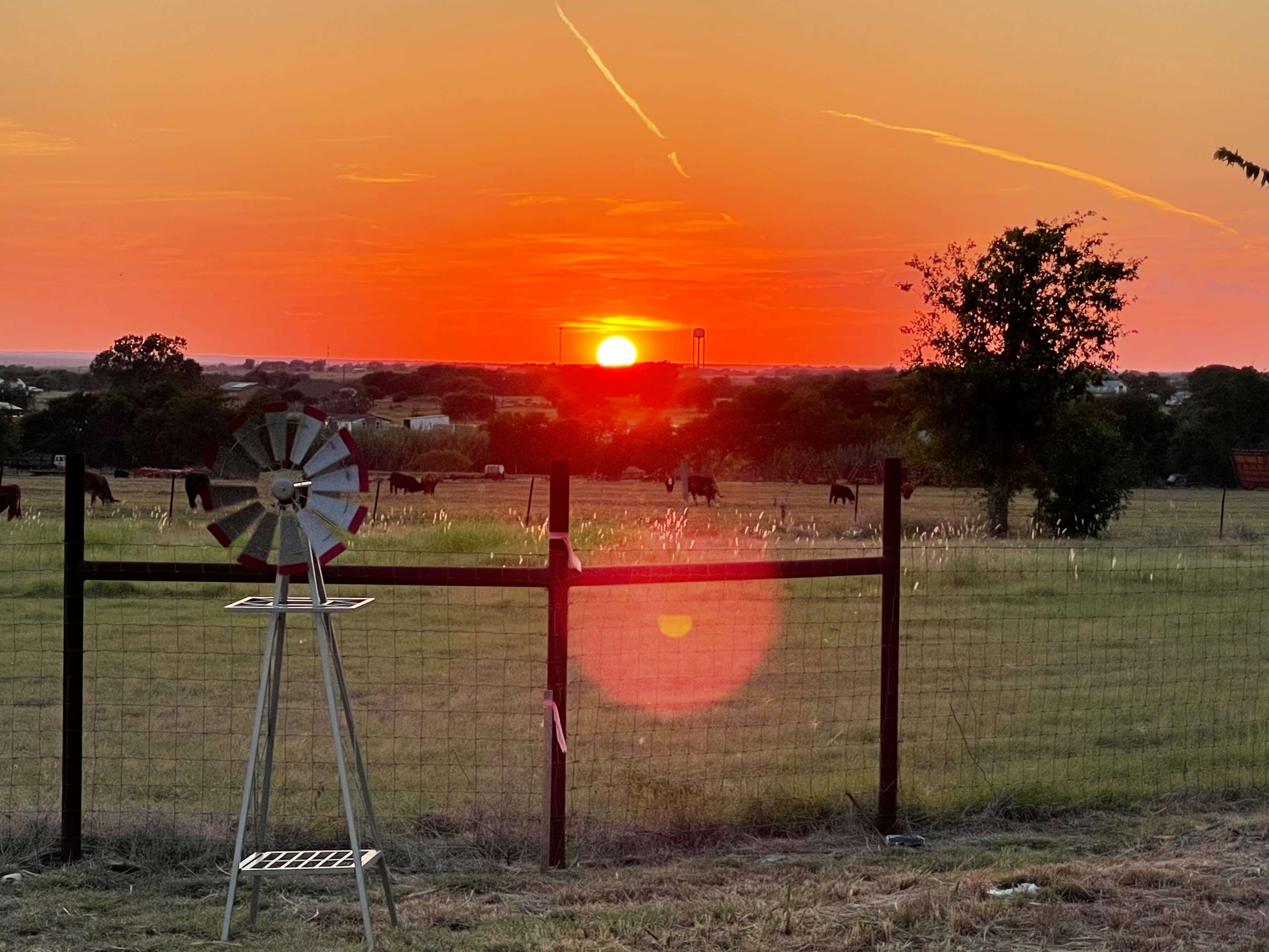 A windmill stands beside a fence in a field as the sun sets on the horizon, illuminating grazing cattle.