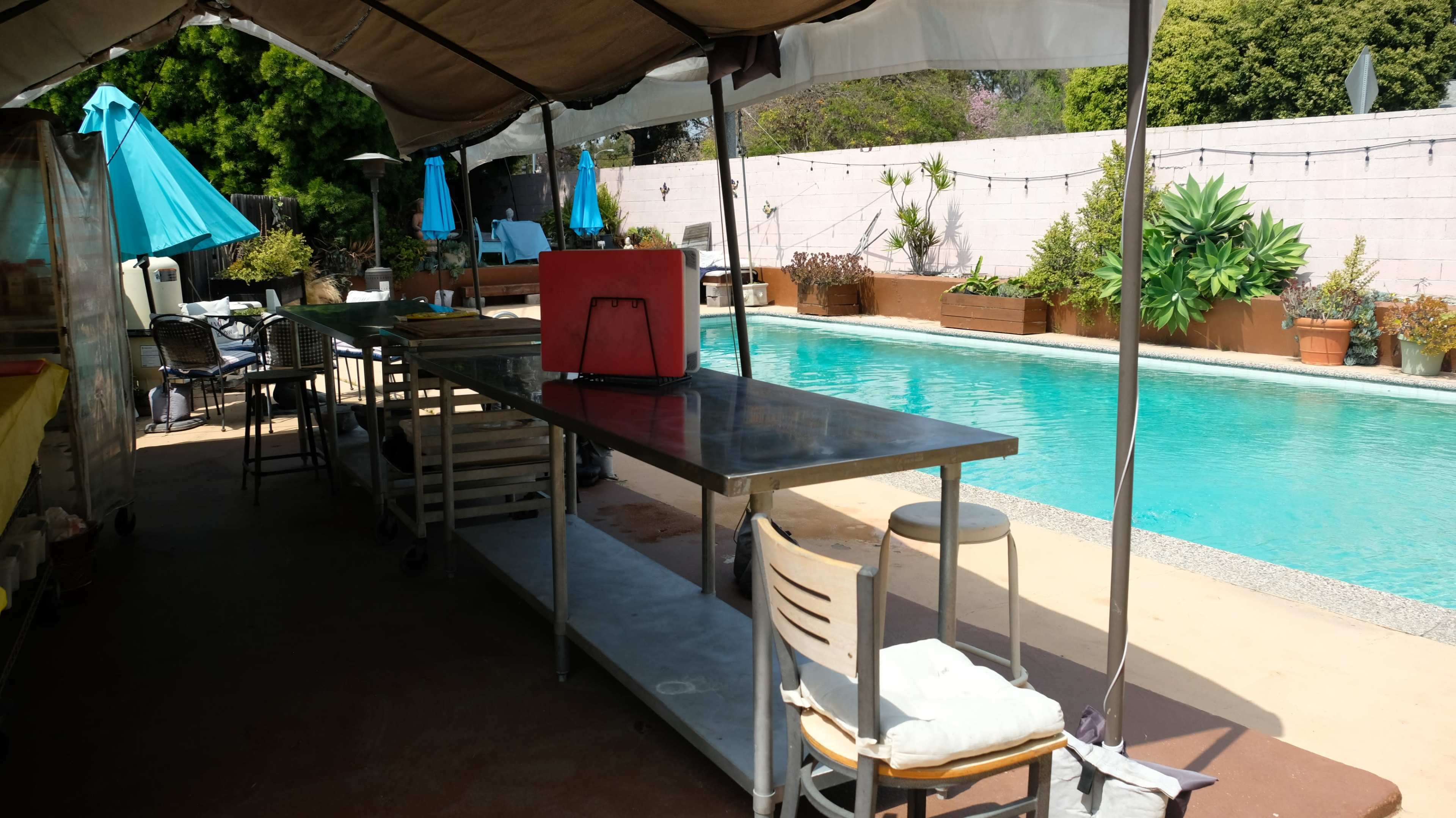 Urban oasis with a large pool Image in Blanco - Culver Crest, Culver City, CA