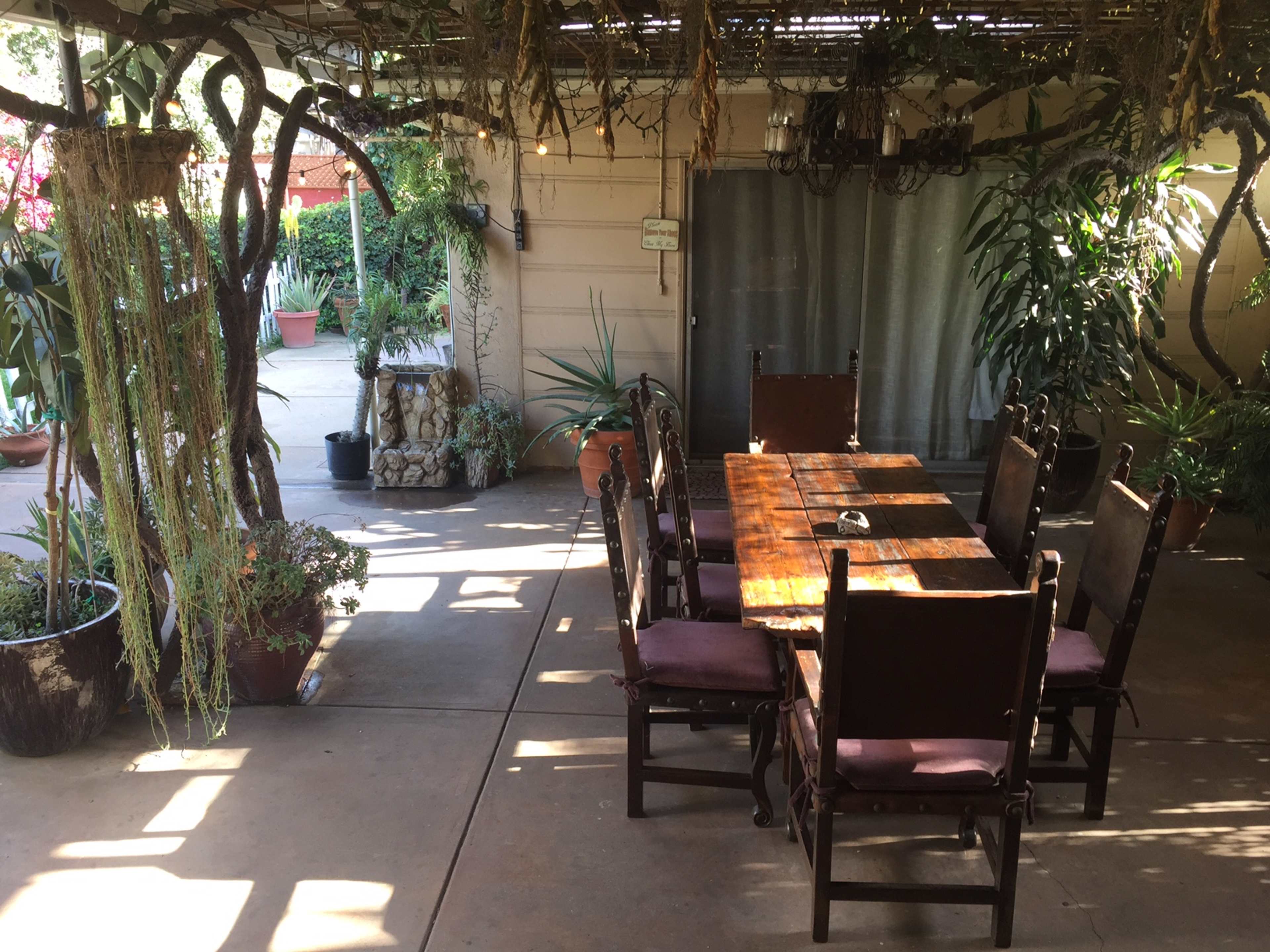 A large wooden dining table with chairs is set in a shaded outdoor area surrounded by potted plants and vines.