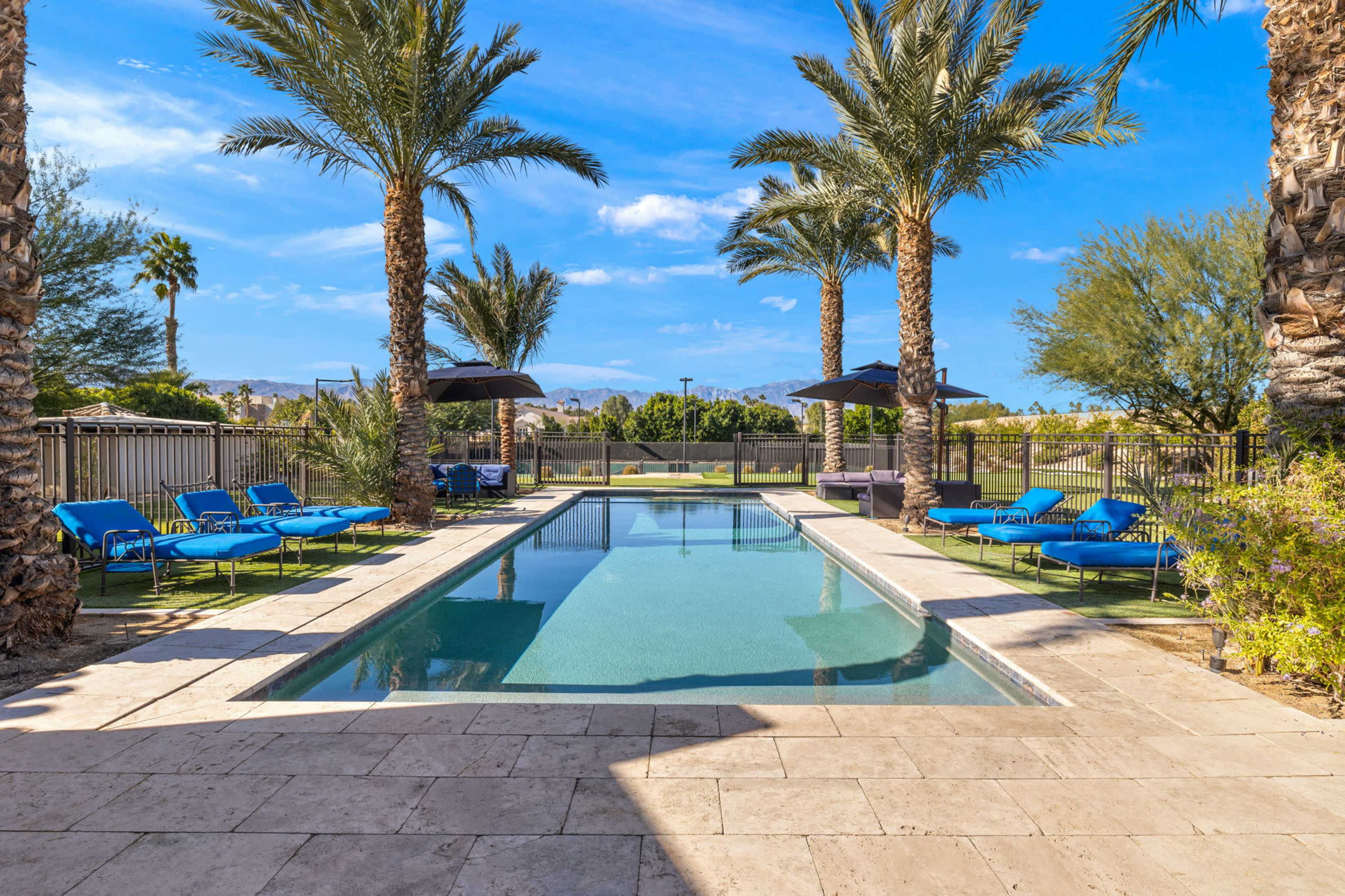 A swimming pool surrounded by palm trees and lounge chairs, with a clear blue sky in the background.