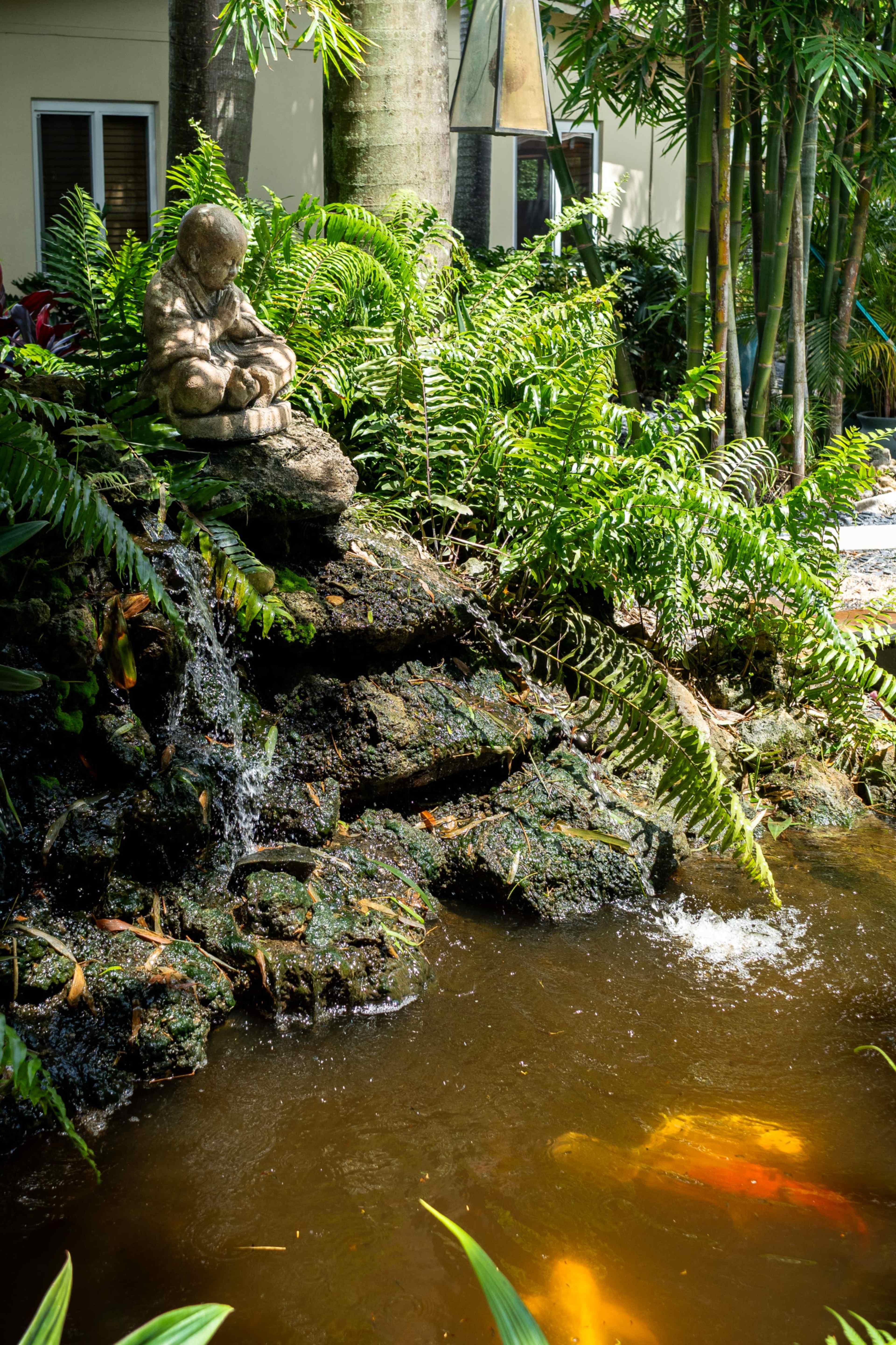 The Zen Space: Jacuzzi, Garden & Creative Energy Image in Wilton Manors, Wilton Manors, FL