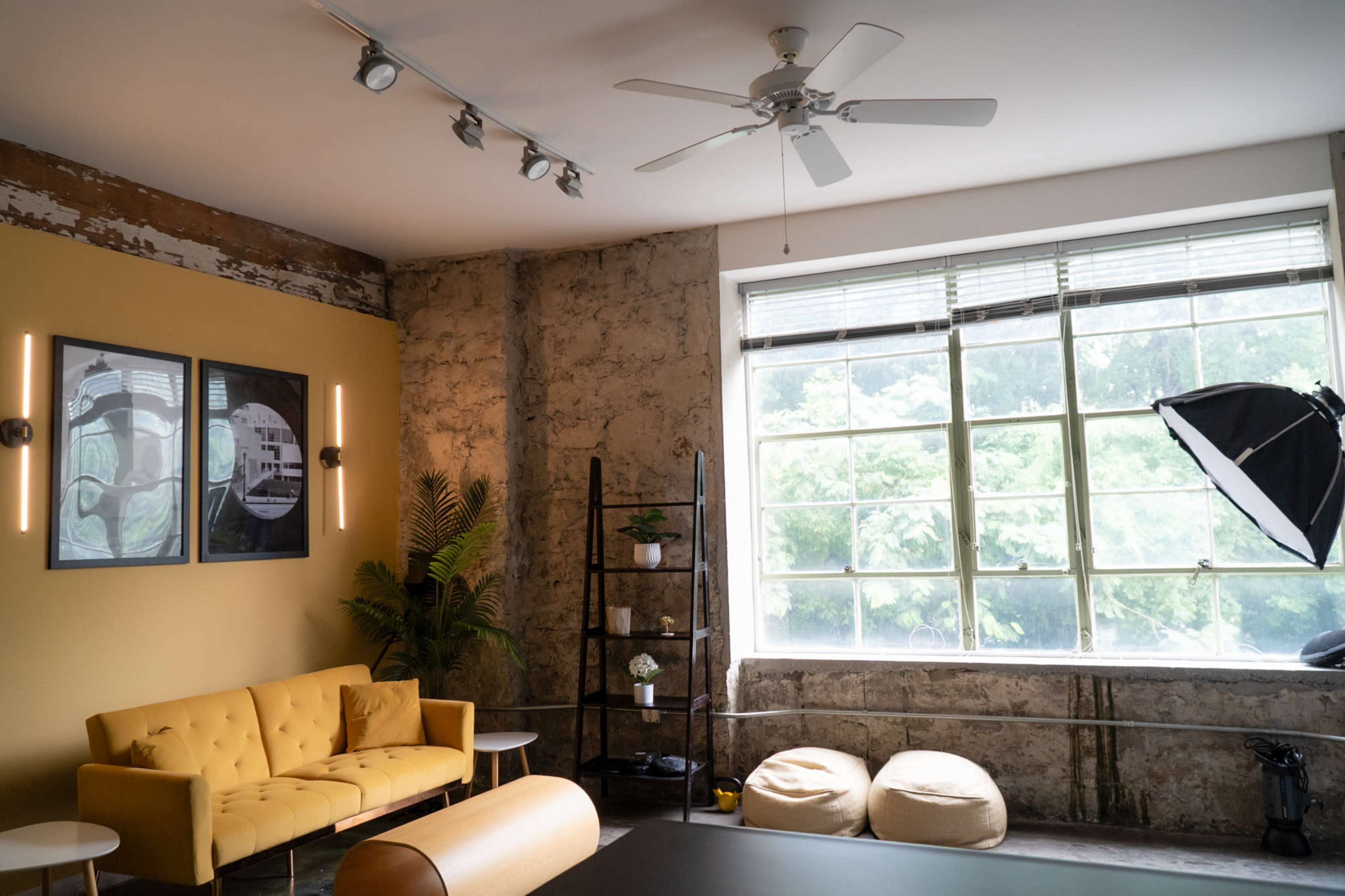 The image shows a bright interior space featuring a yellow sofa, a tall indoor plant, and large windows with natural light illuminating the room.