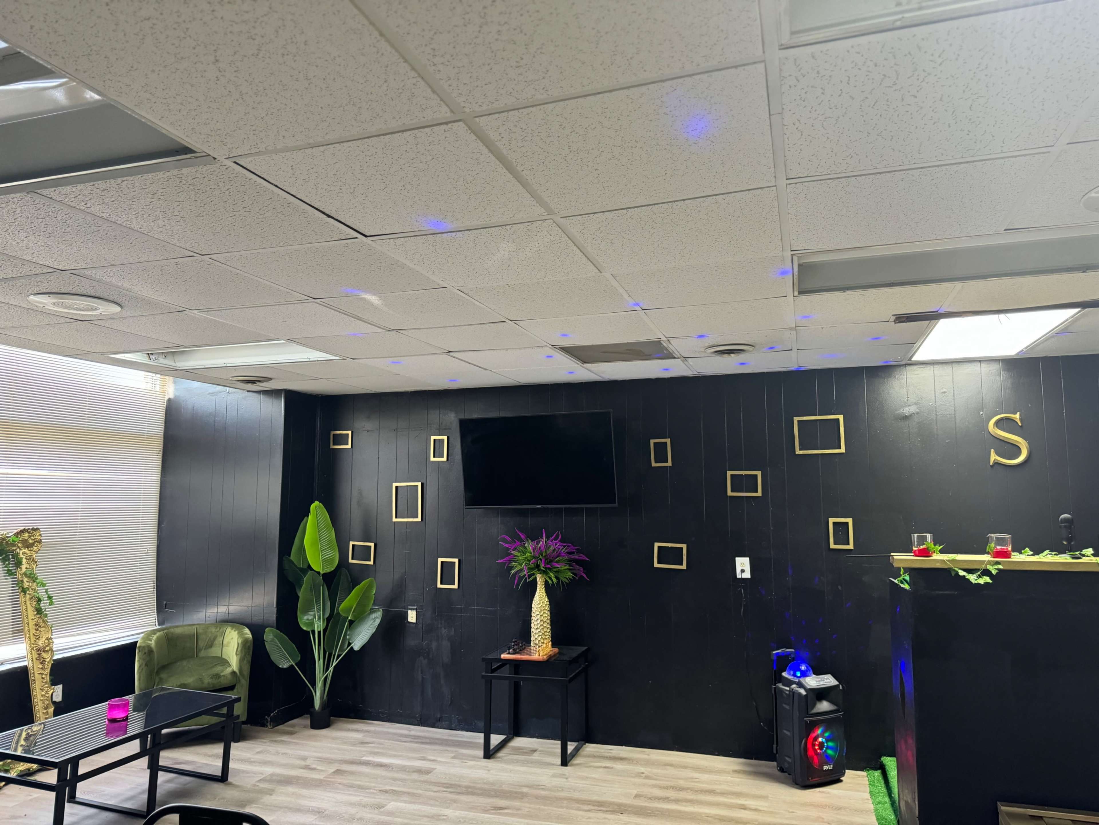 A room with a black wall, a television mounted on it, green plants, a small table, and decorative gold frames arranged around.