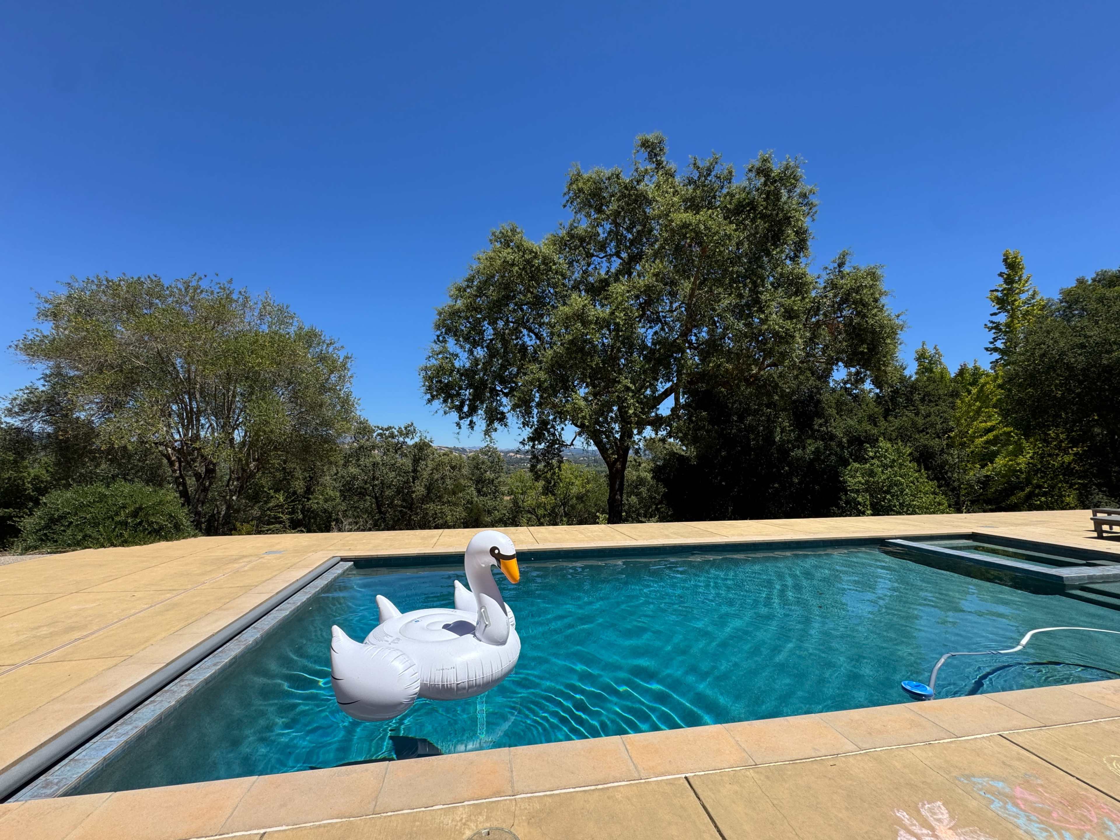 A large inflatable swan floats in a swimming pool surrounded by a sunny outdoor area with trees in the background.