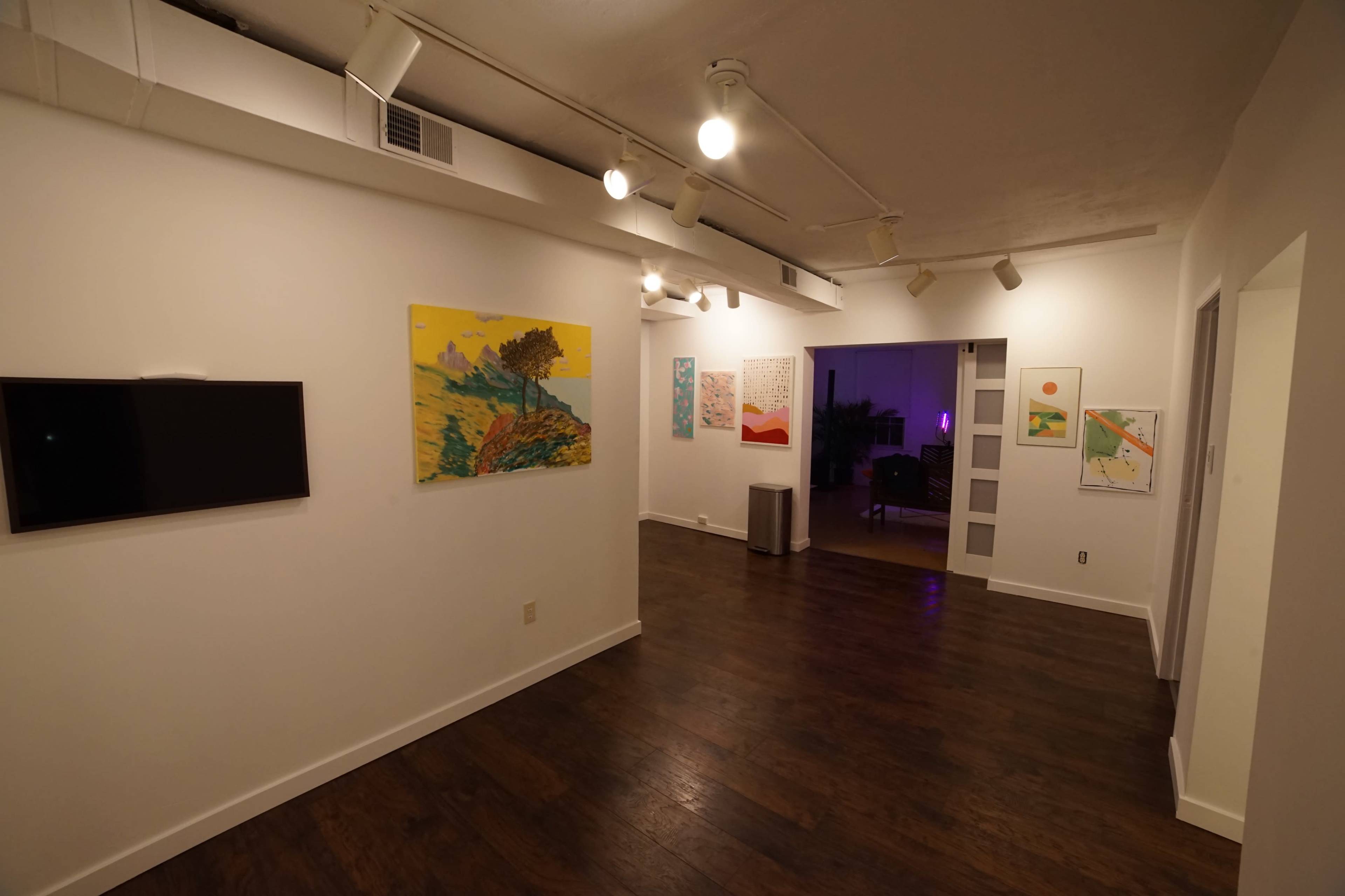 A well-lit, modern room with wooden flooring, featuring several framed artworks on the walls and a television on one wall.