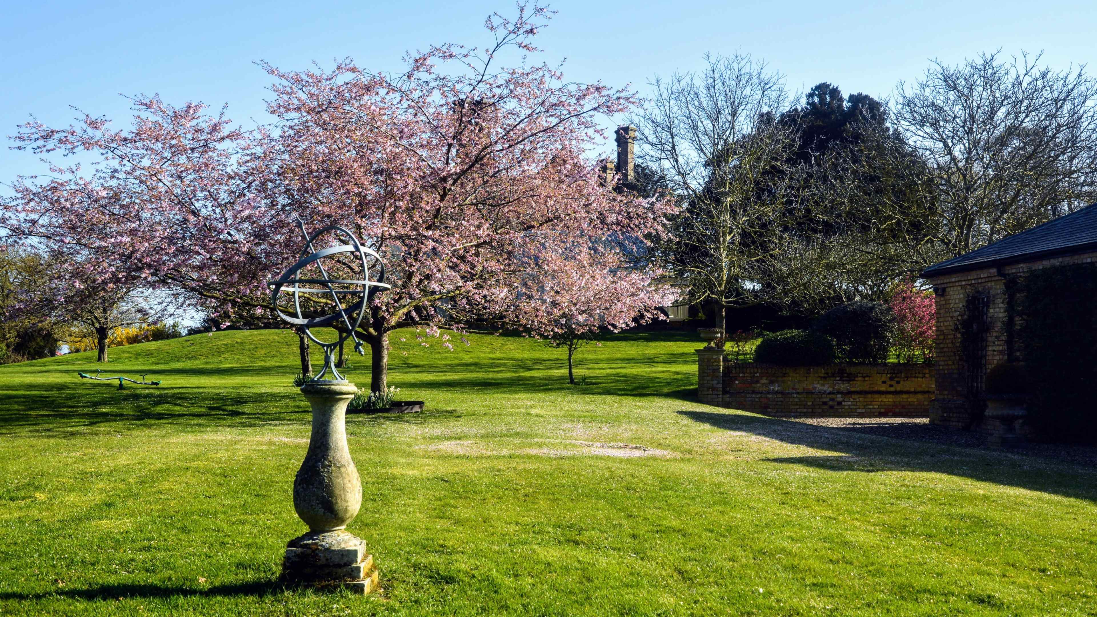 A sundial stands on a grassy area in front of a flowering cherry tree and a house in the background.