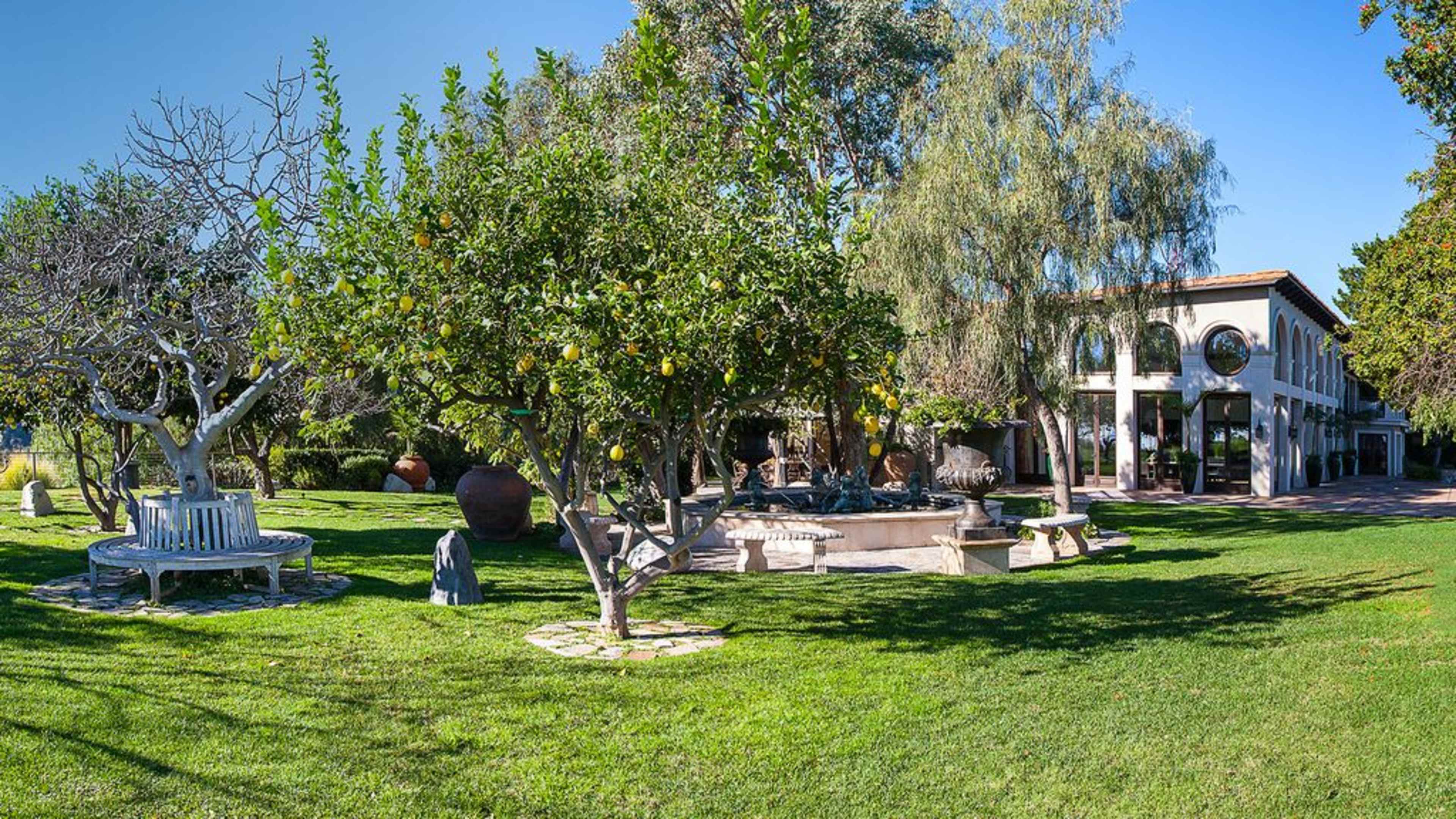 A landscaped garden featuring lemon trees, a stone fountain, and a large building in the background under a clear blue sky.
