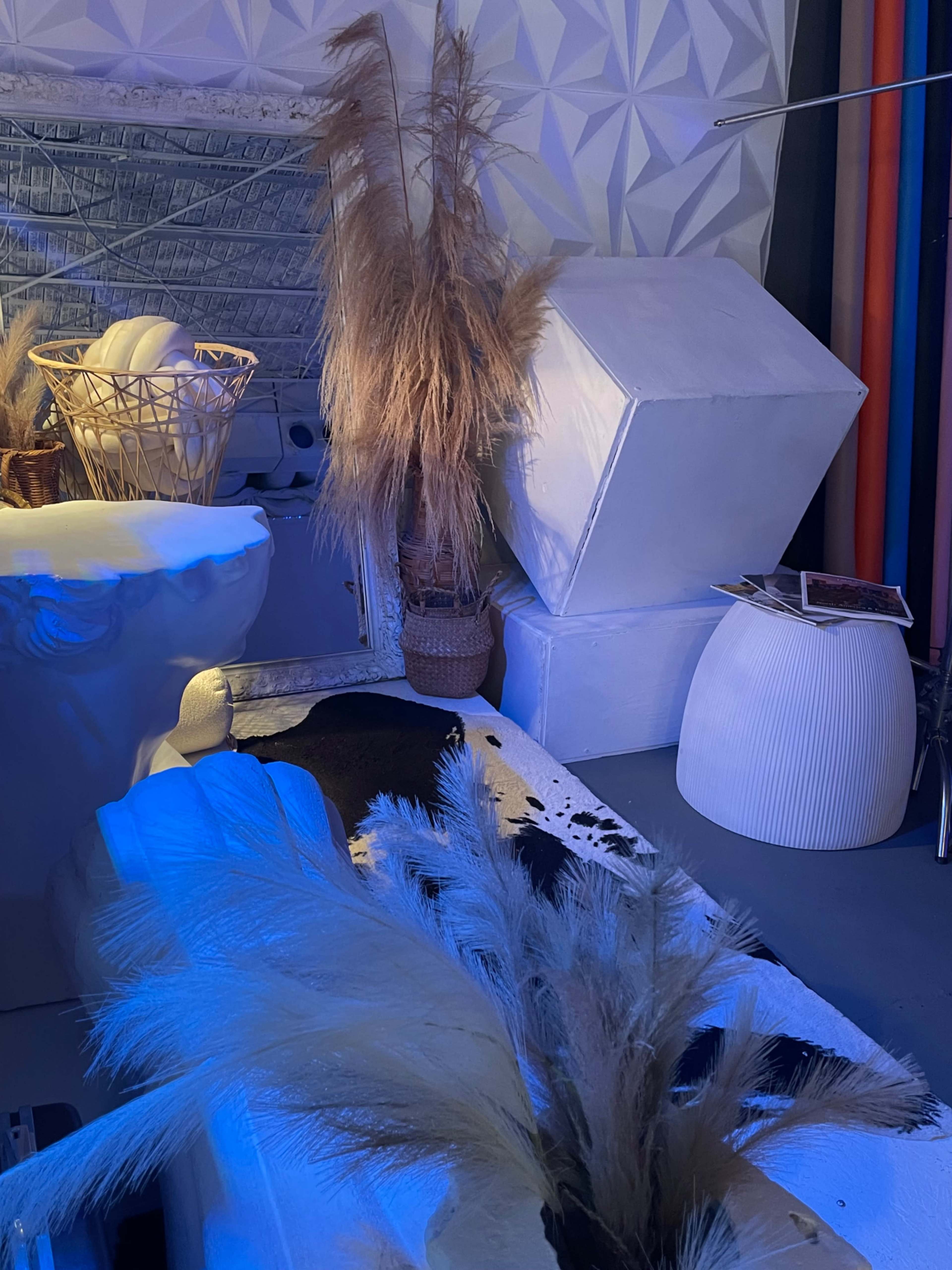 The scene features a modern, minimalist room with various geometric decor elements, including a large white cube, a basket of pampas grass, and a textured wall.