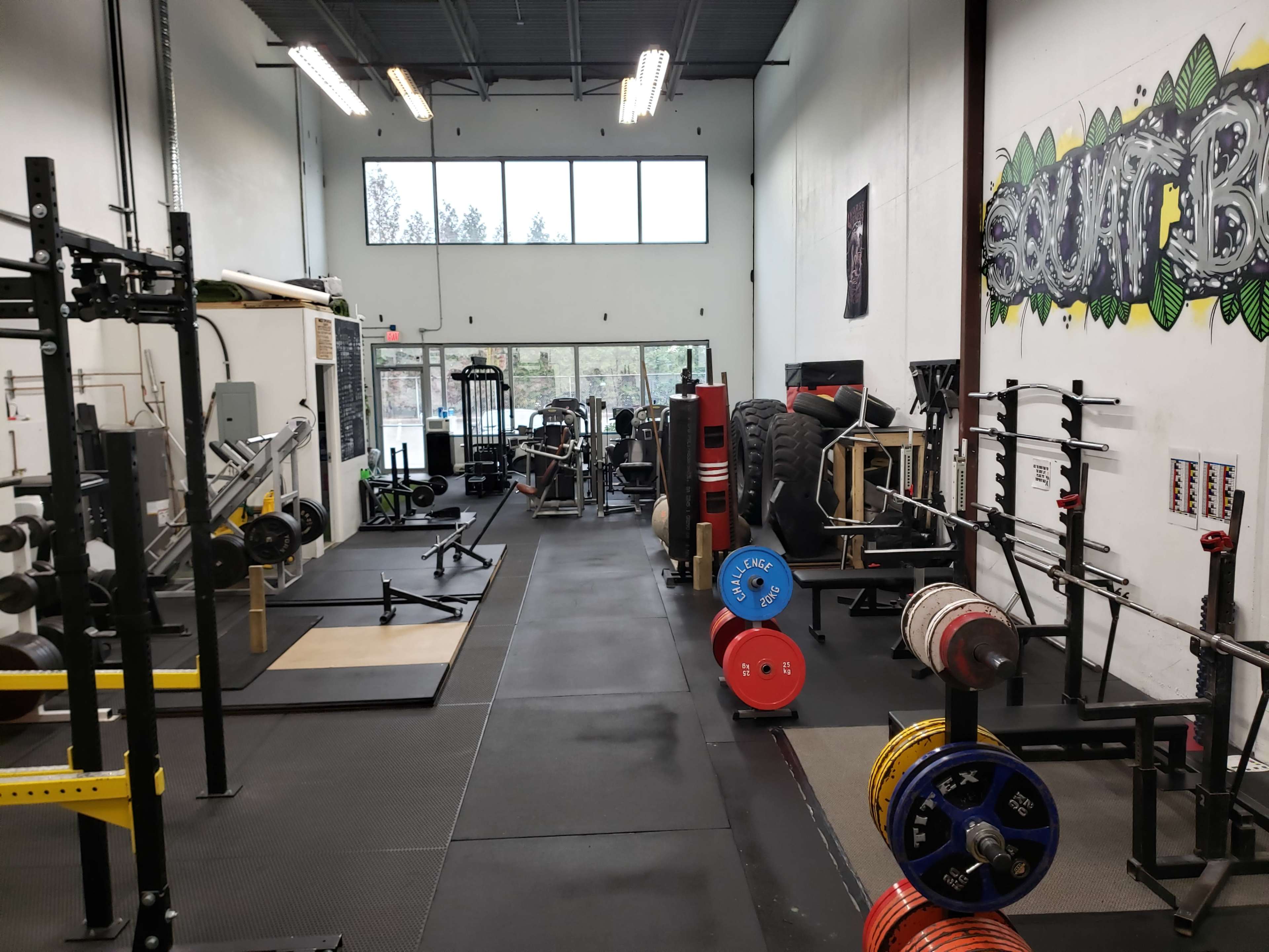 A spacious gym filled with various weightlifting equipment, including barbells, benches, and tire stacks, along with large windows letting in natural light.