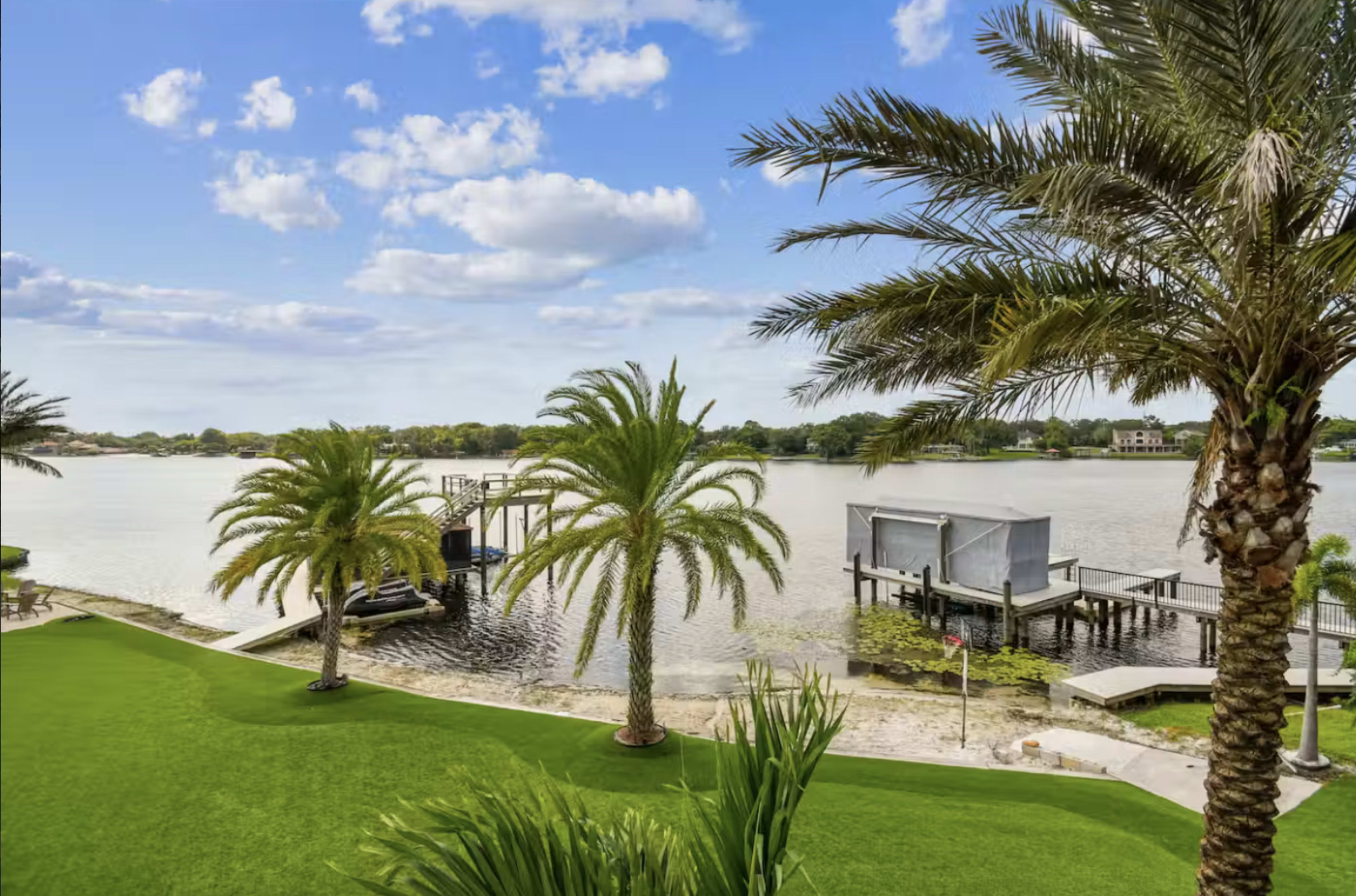 The image shows a waterfront view with palm trees, green grass, and a dock extending over the water.