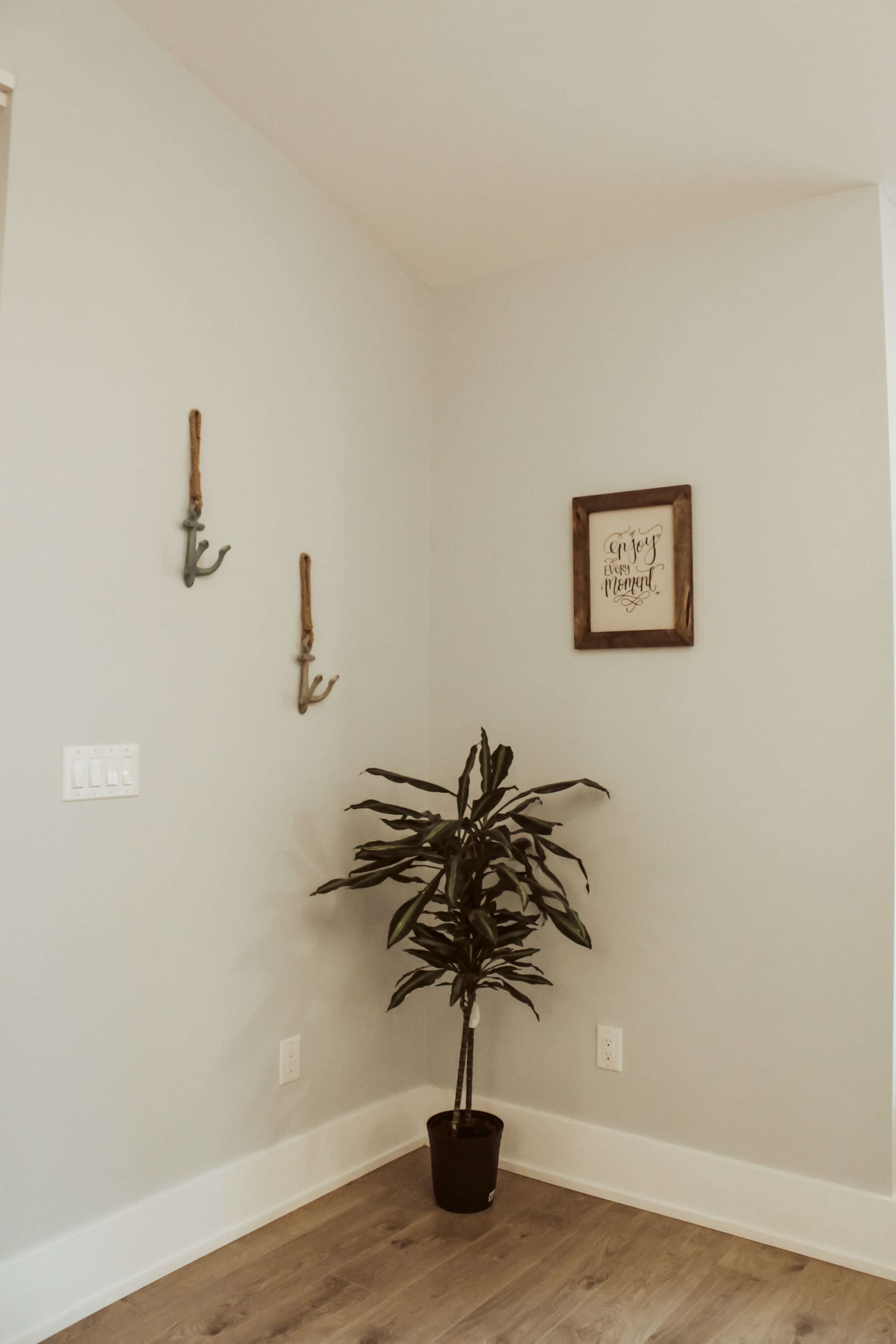 A corner of a room with a potted plant, two wall-mounted hooks, and a framed sign on the wall.