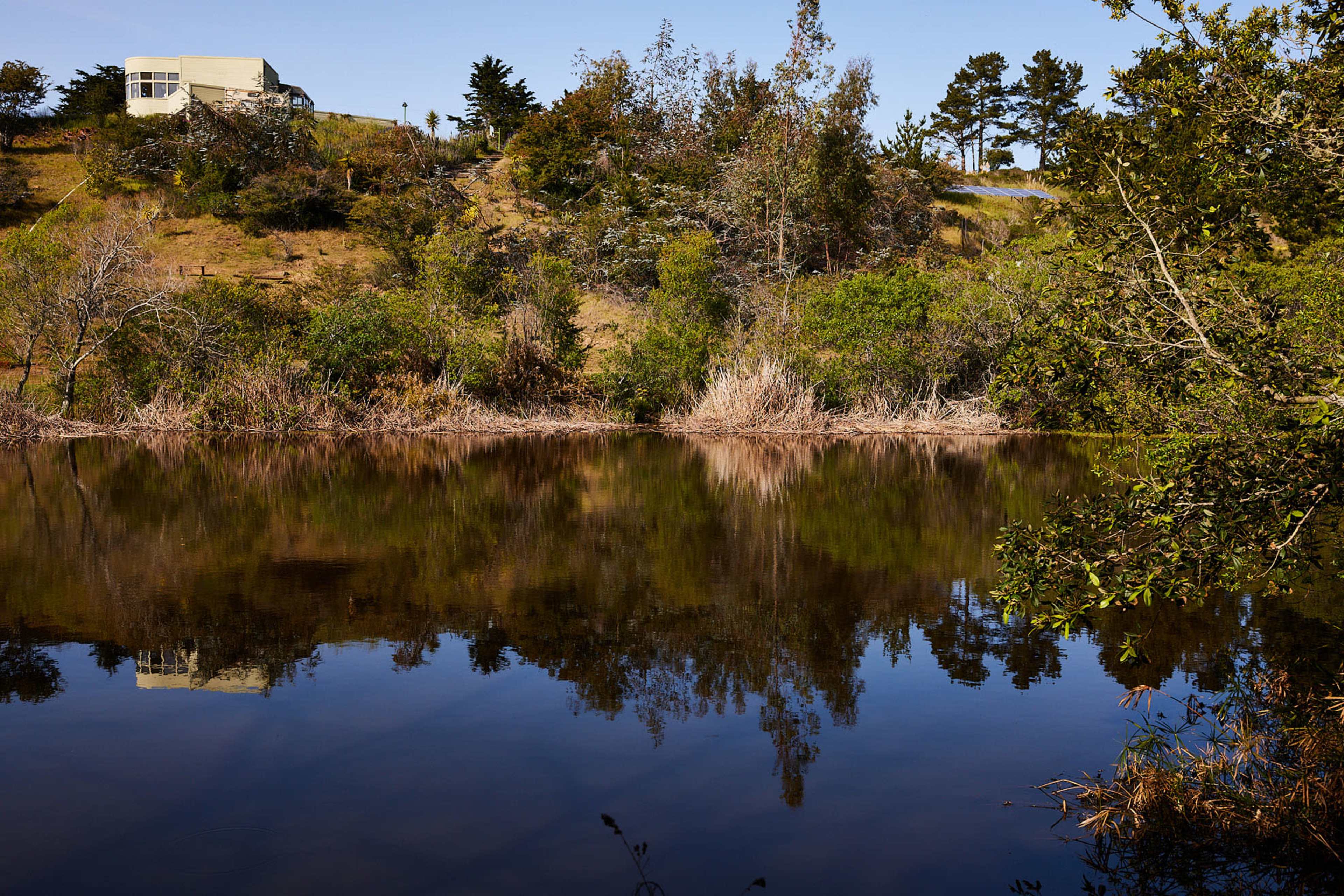 A house sits on a hill overlooking a calm body of water surrounded by greenery and trees, reflecting the landscape in its surface.