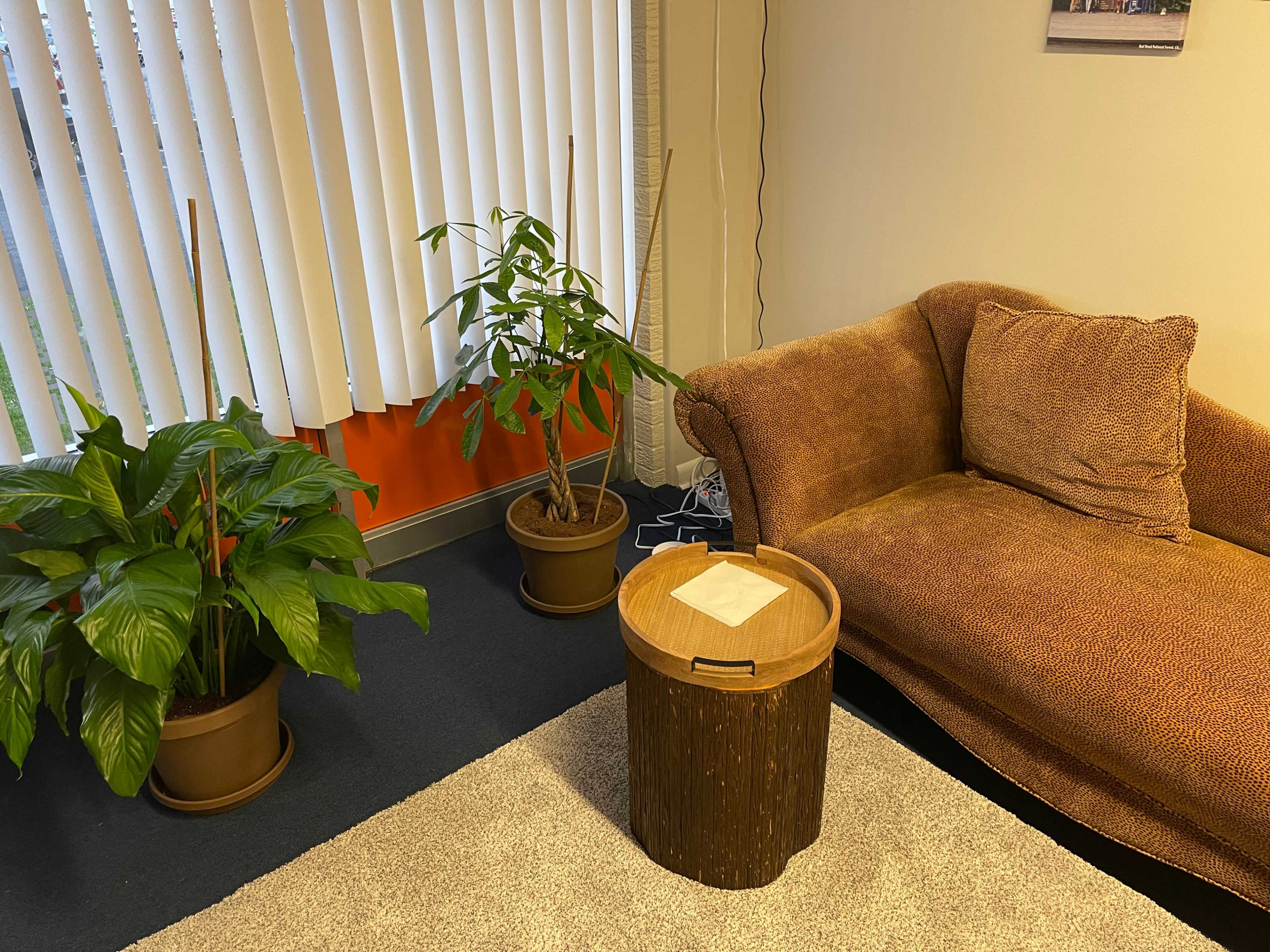 A cozy indoor seating area with a brown couch, a round wooden side table, and two potted plants beside it.
