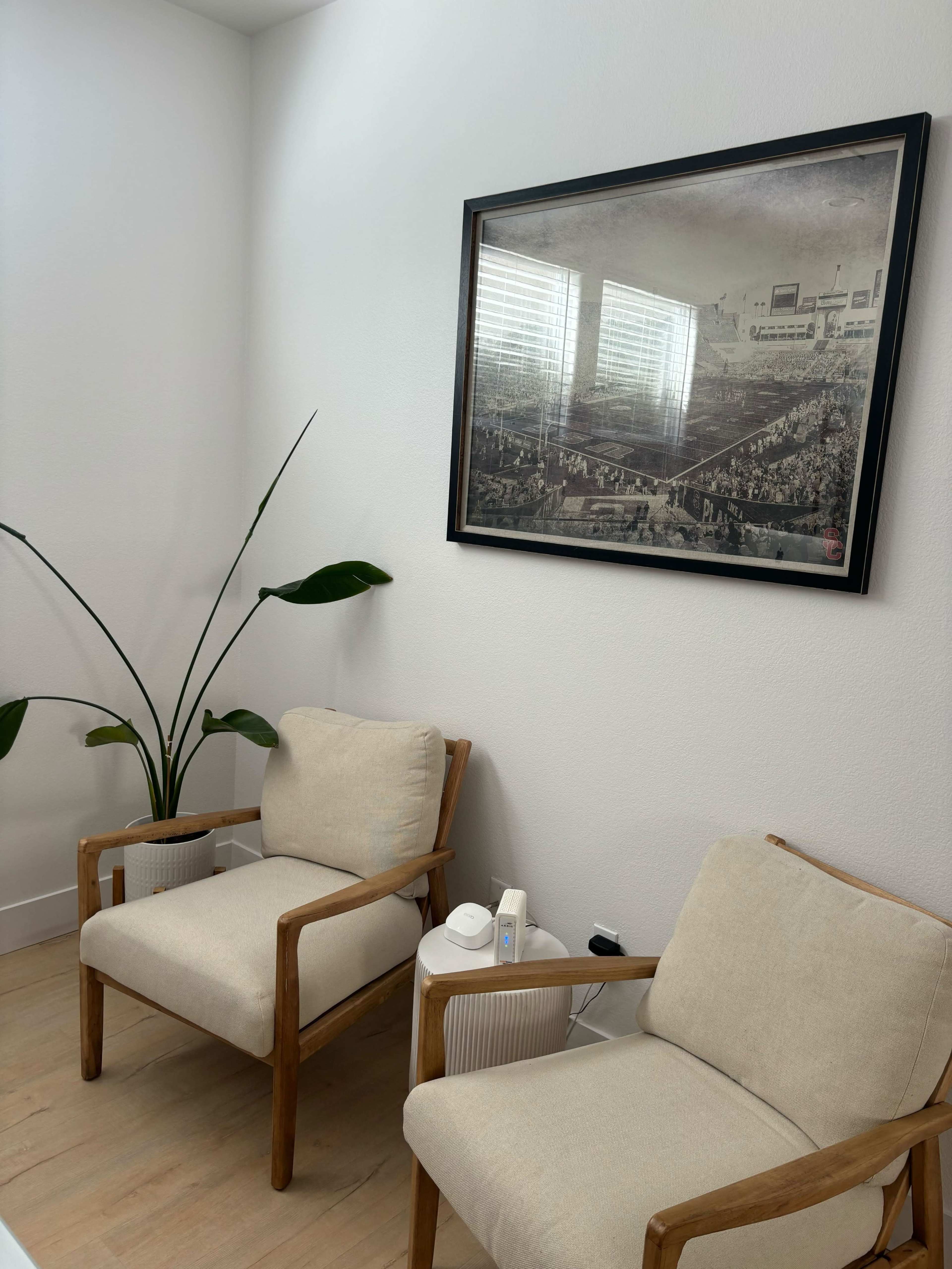 The image shows a white-walled room with two light-colored chairs, a small table, a plant, and a framed artwork on the wall.