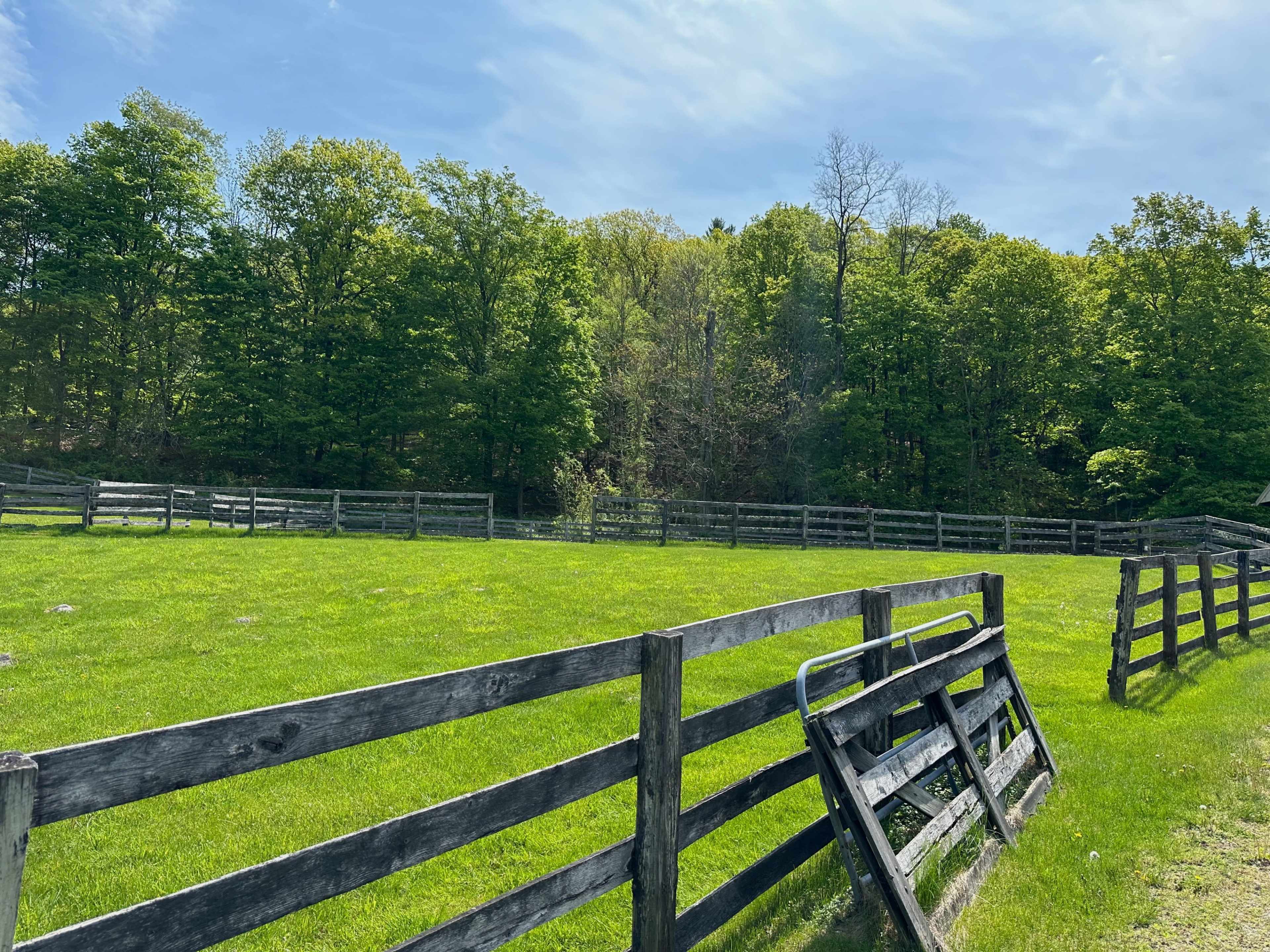 A fenced grassy field is surrounded by trees under a clear blue sky.