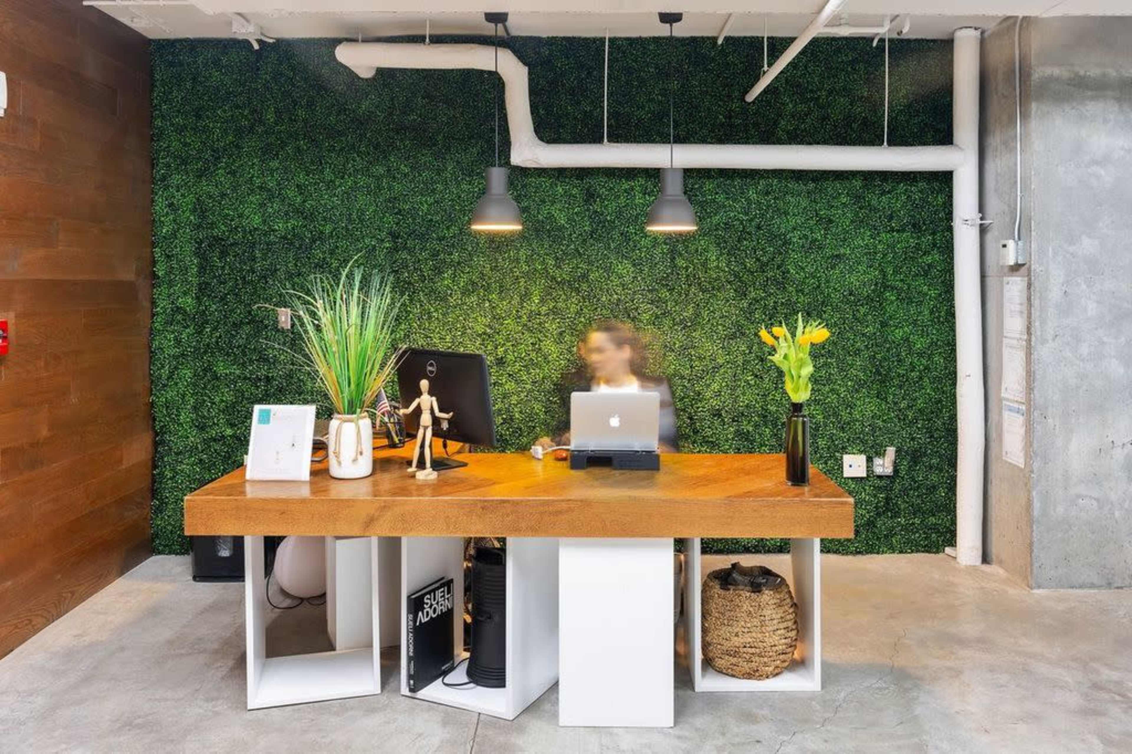 A modern reception area features a wooden desk with a computer, decorative plants, and a green wall behind it.