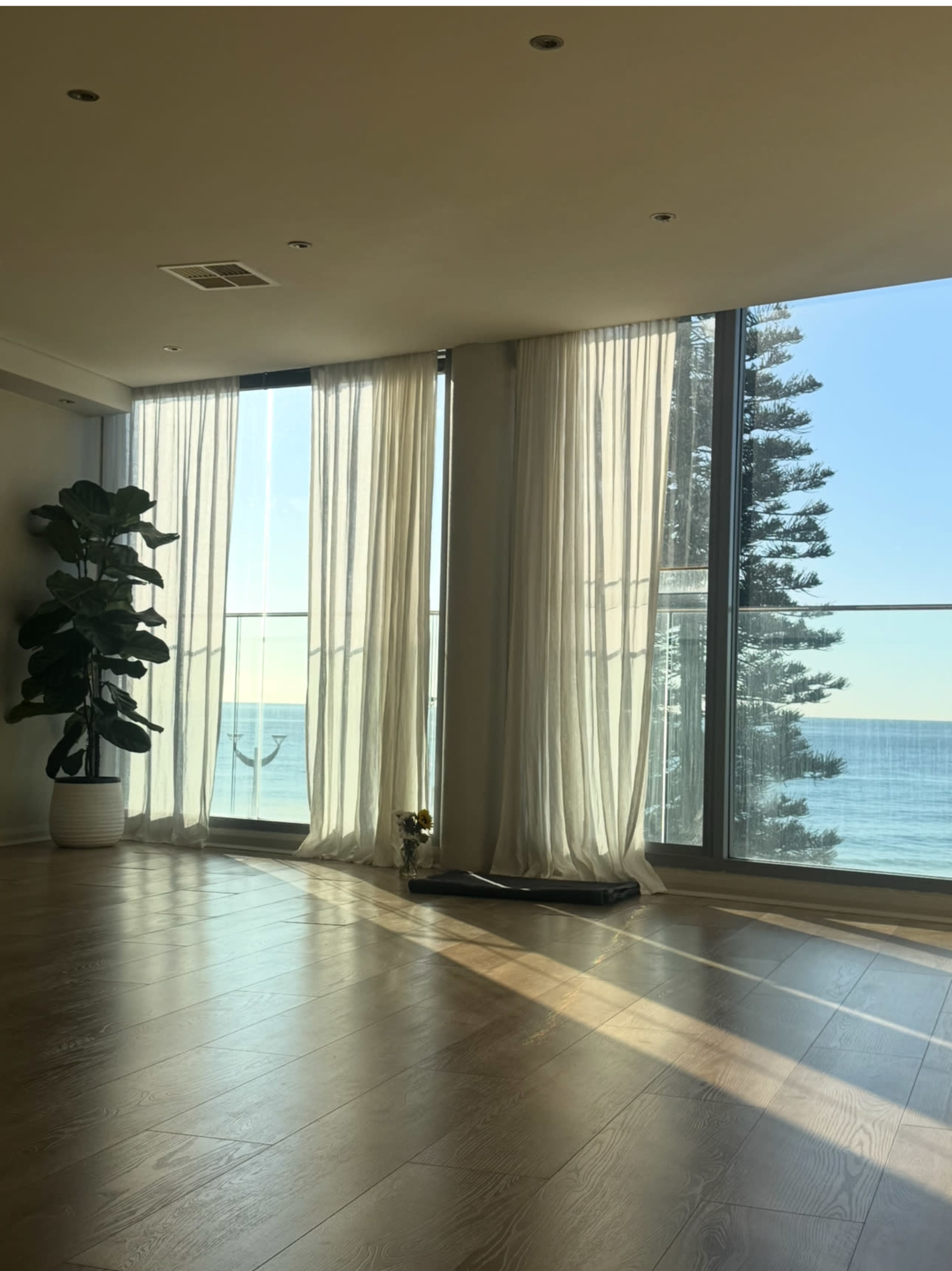 A spacious, sunlit room features large windows with sheer curtains overlooking a view of the ocean and a tree.