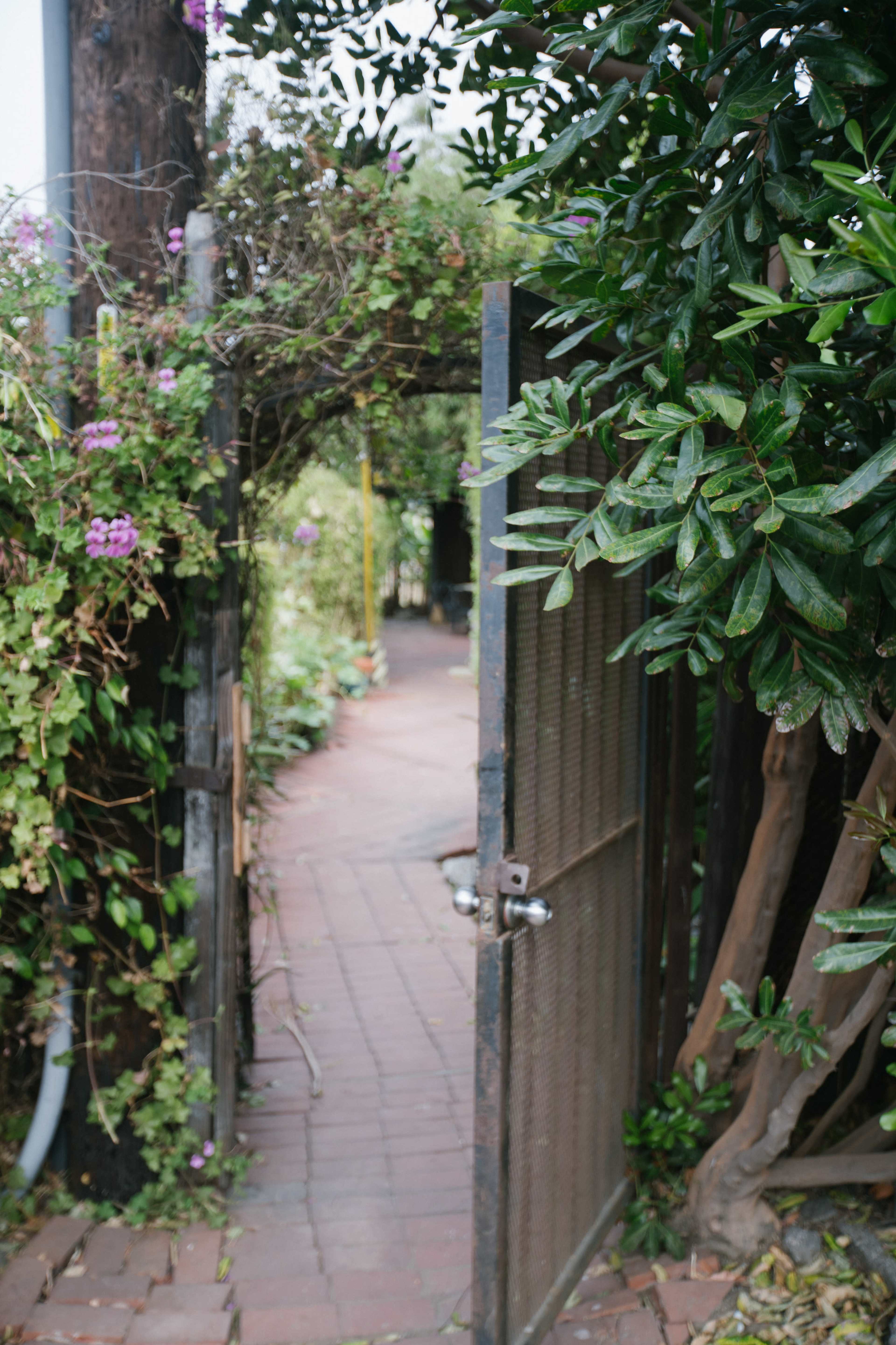A metal gate opens to a winding brick pathway surrounded by lush greenery and flowering vines.
