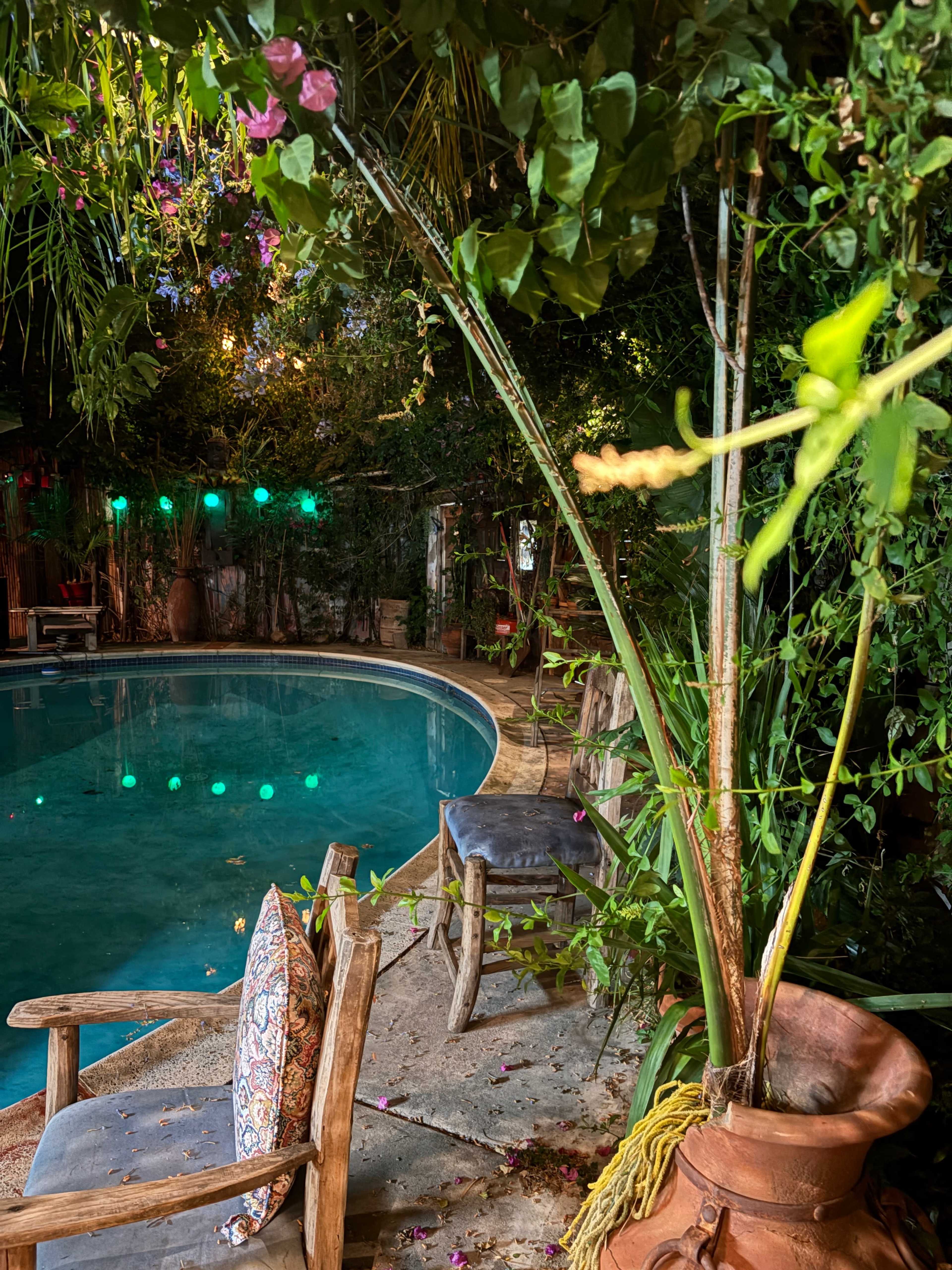 A swimming pool is surrounded by lush greenery and wooden chairs, with colorful lights visible in the background.