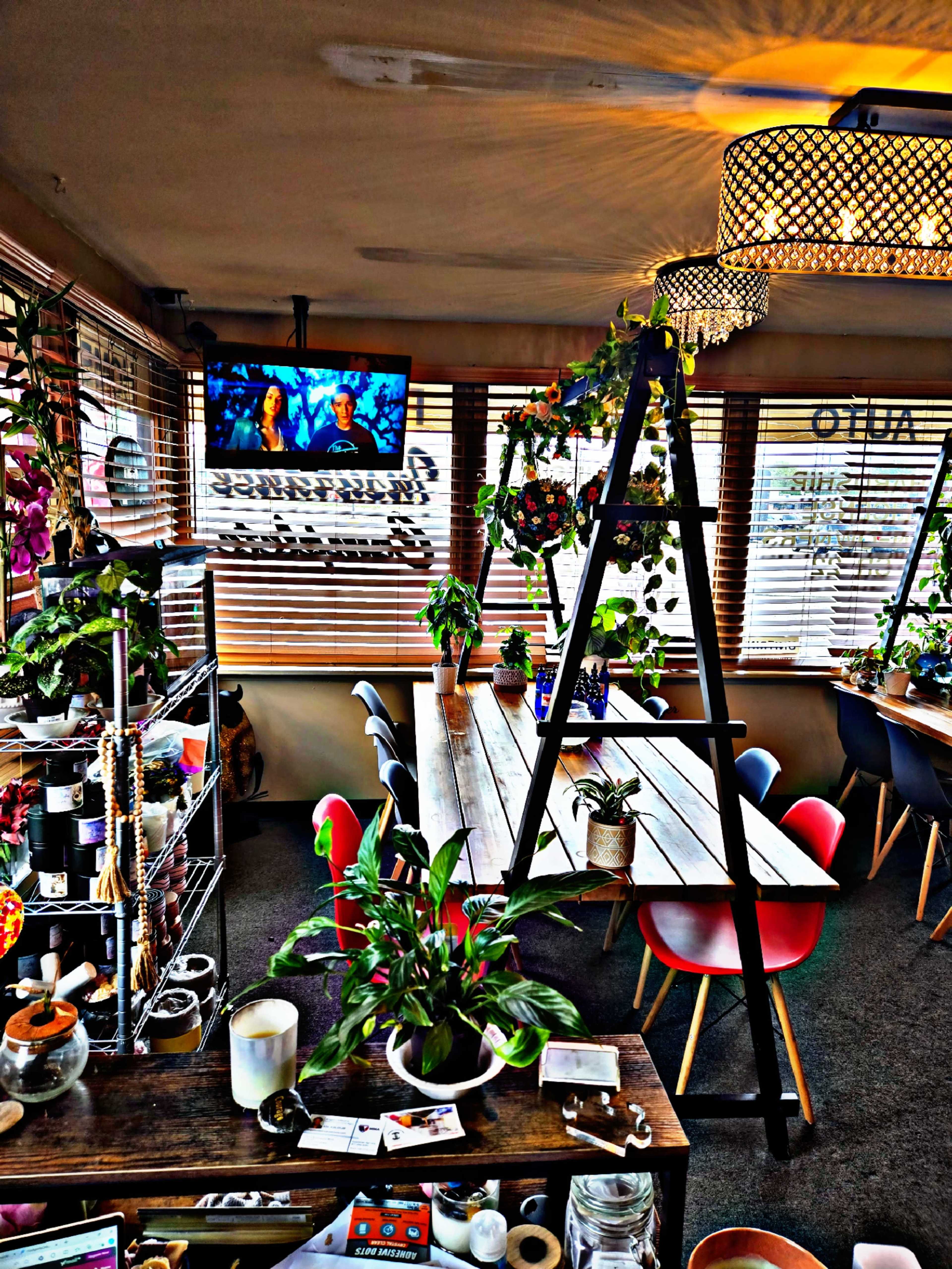A cozy café interior features a wooden table surrounded by colorful chairs, plants, and a television mounted on the wall.
