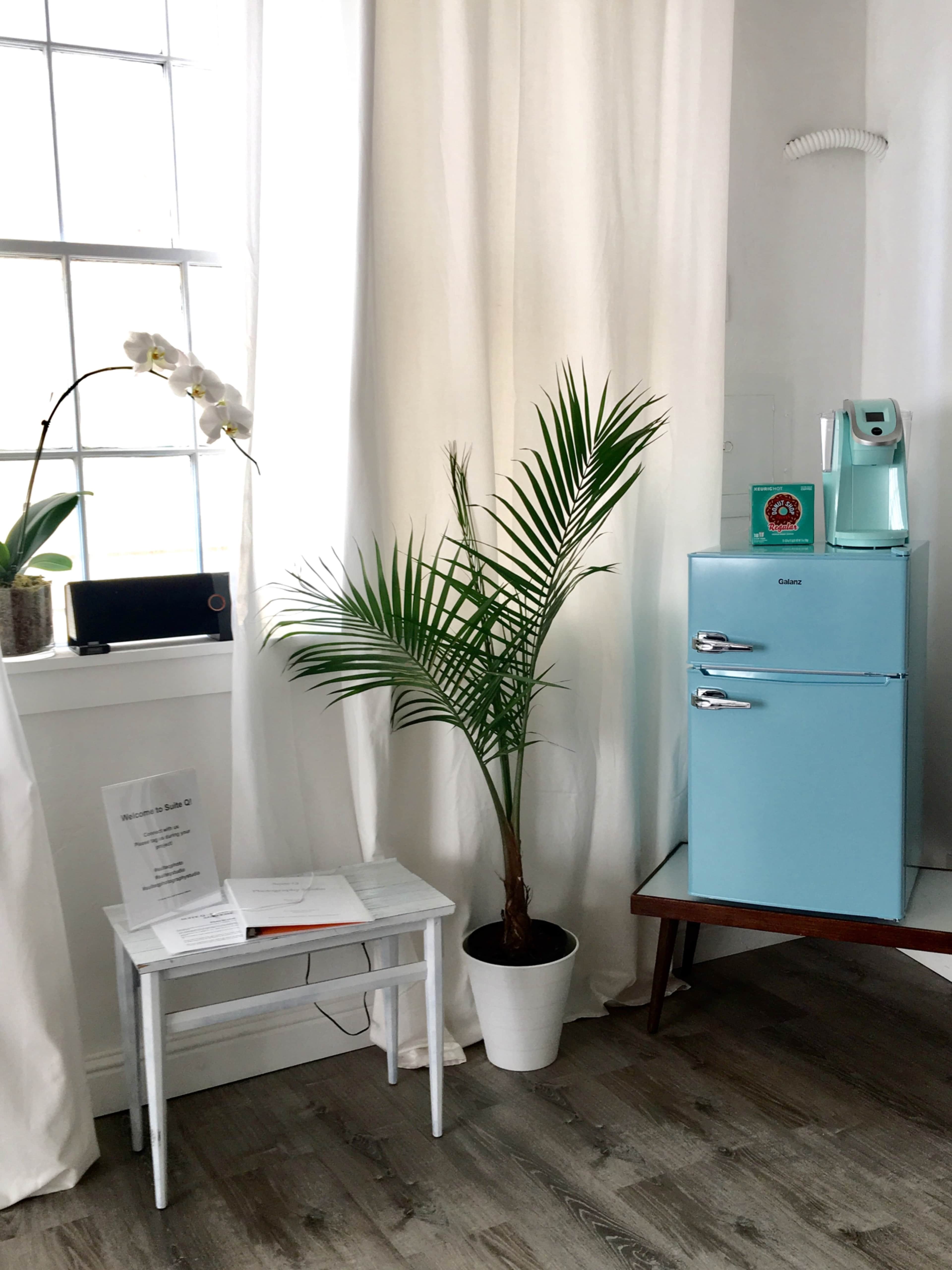 The scene features a light blue refrigerator next to a potted palm plant and a small white table with a sign on it, all arranged in a brightly lit corner by a window.