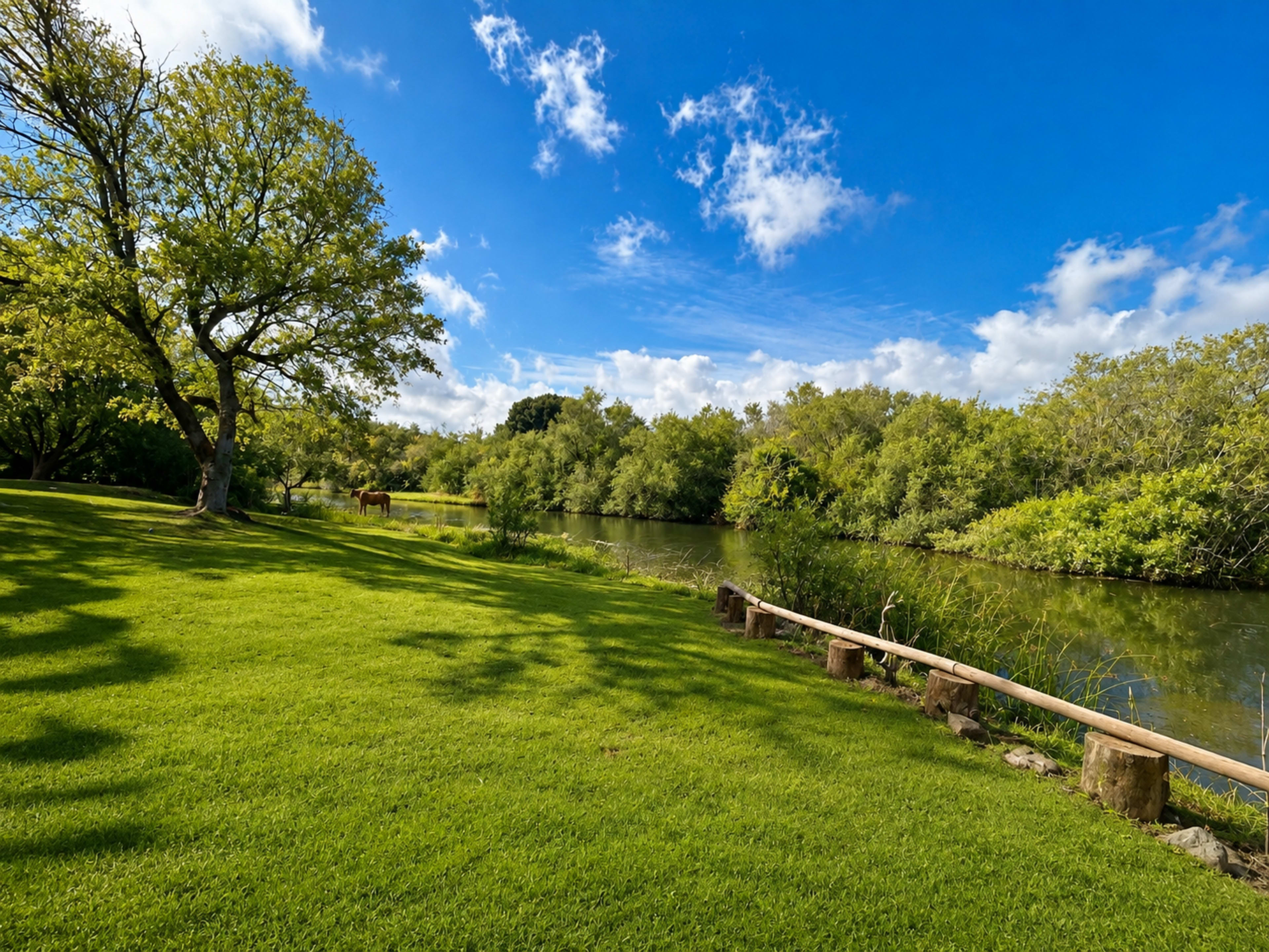 A serene landscape features a grassy area beside a river, surrounded by trees and lush vegetation under a partly cloudy blue sky.