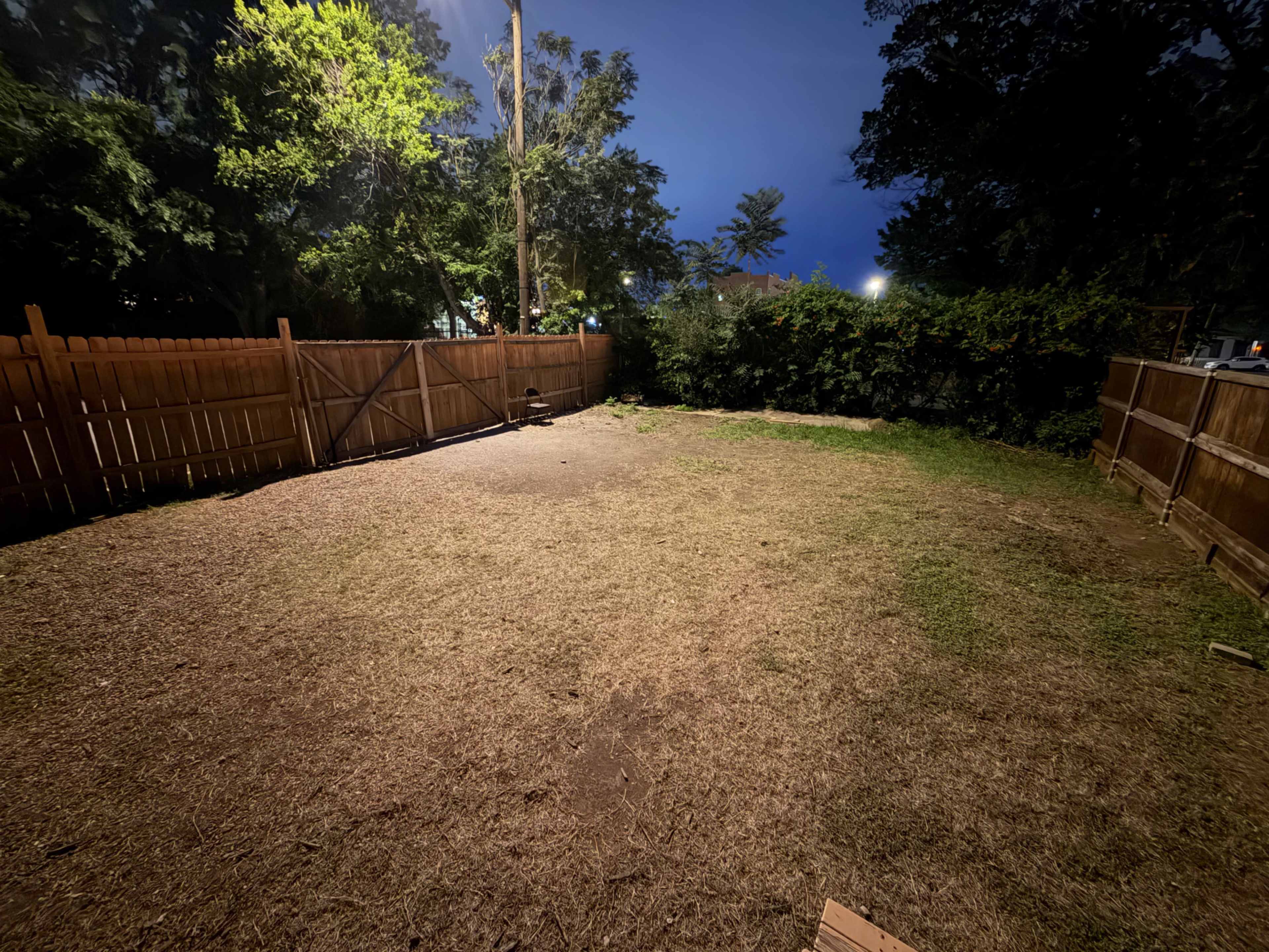 The image shows a backyard at night, featuring a fenced area with sparse grass and trees in the background.