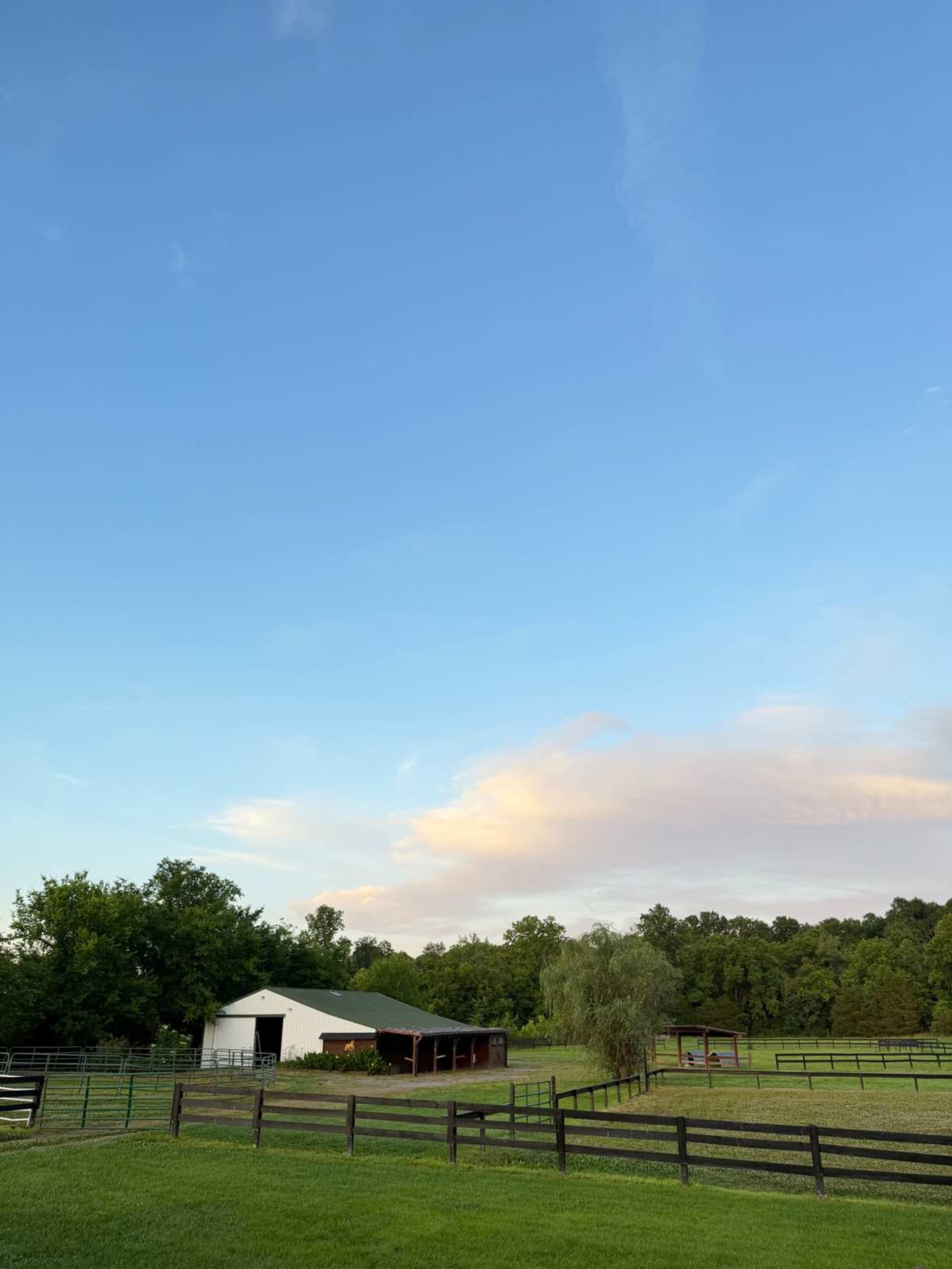 14-acre working farm in Williamson County | Golden light, open pastures, beautiful stables, animals, farmhouse aesthetic | 30 min from Nashville Image in , Franklin, TN