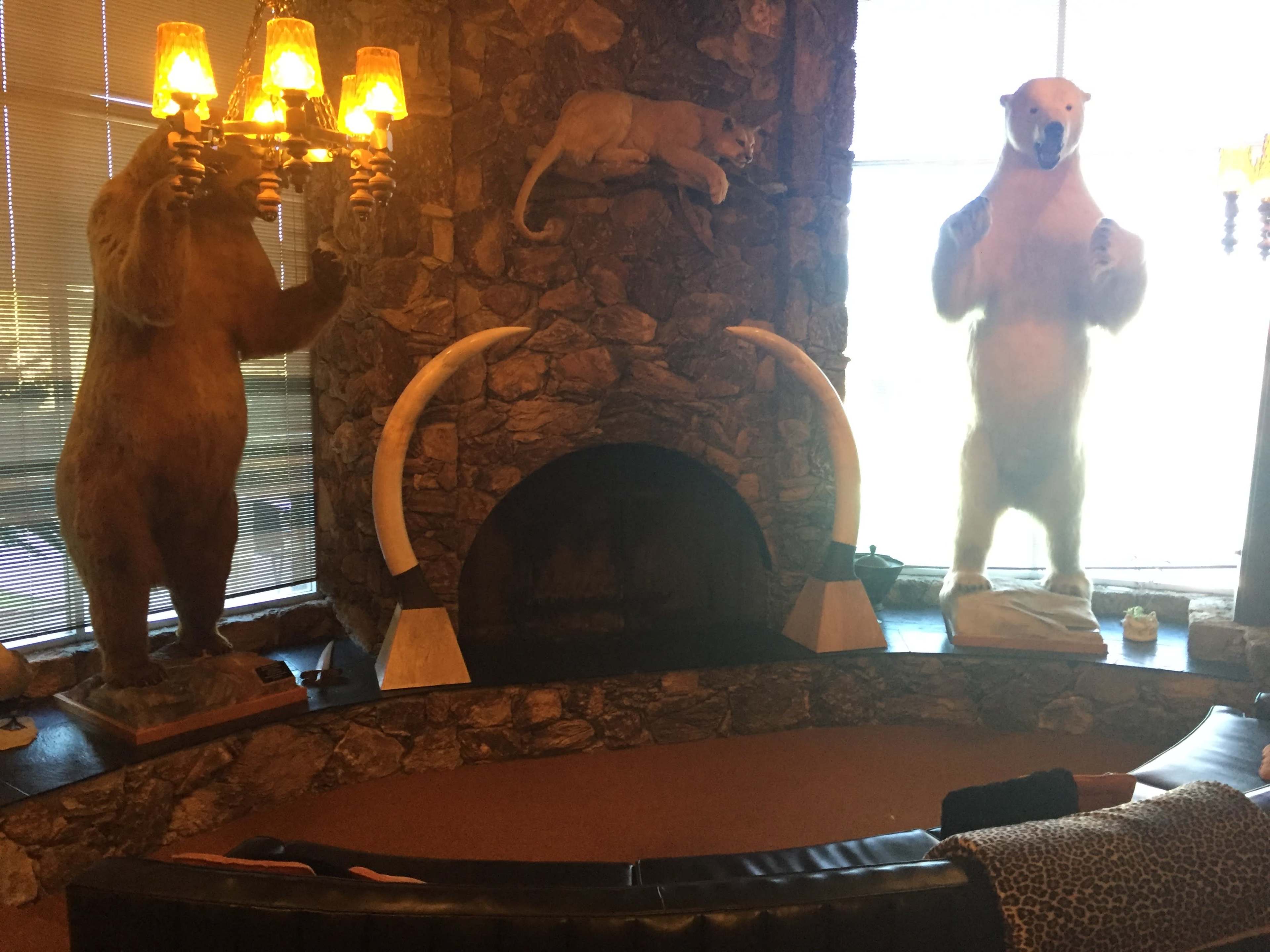 A stone fireplace surrounded by mounted taxidermy bears and a polar bear, with prominent antlers above the mantle.