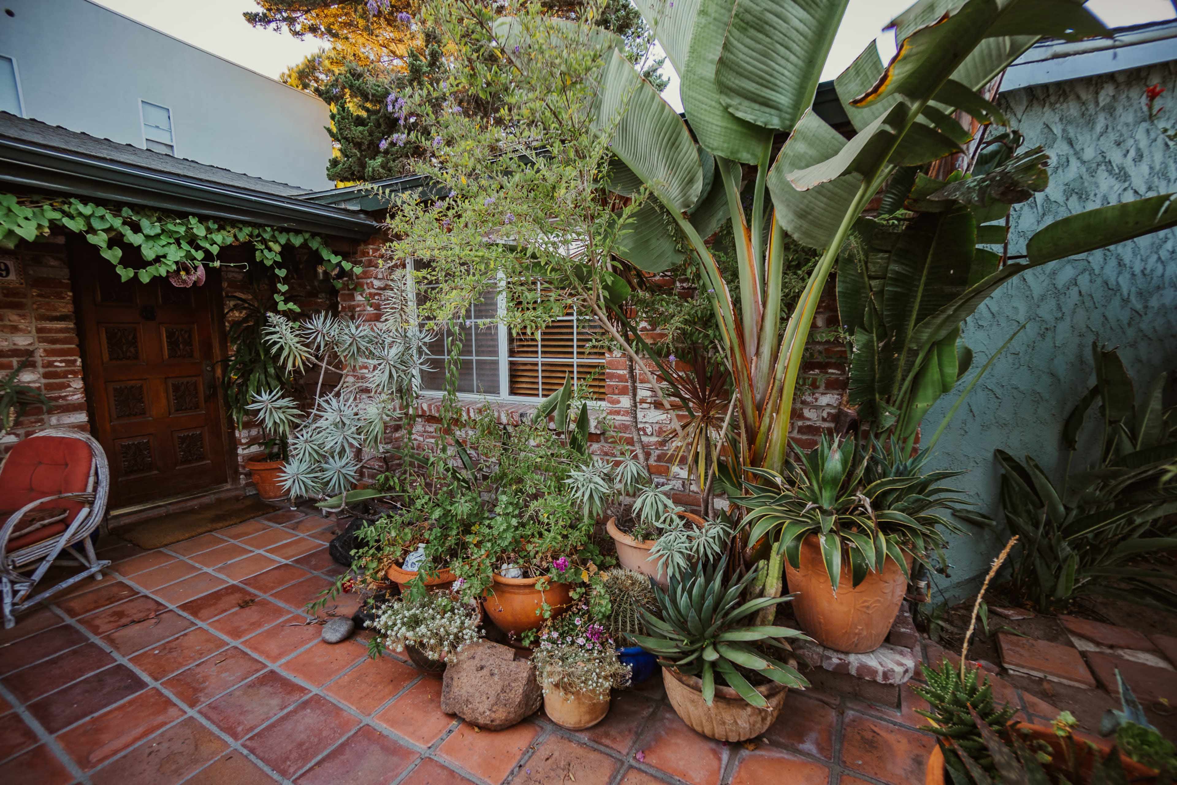 A patio garden filled with various potted plants and succulents in a brick and tile courtyard.