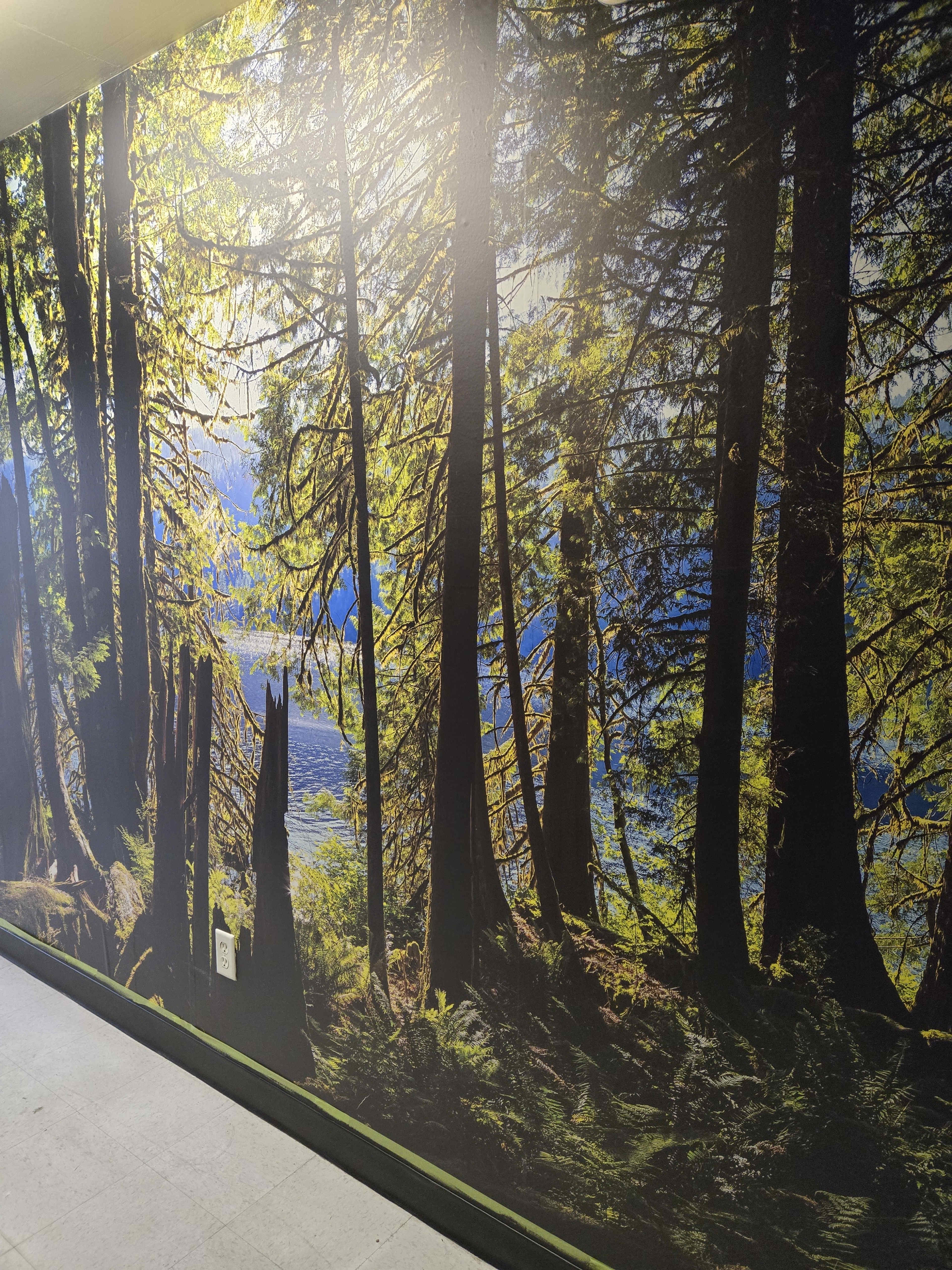 Activity Space with Meeting Loft Image in Port Coquitlam, Port Coquitlam, BC