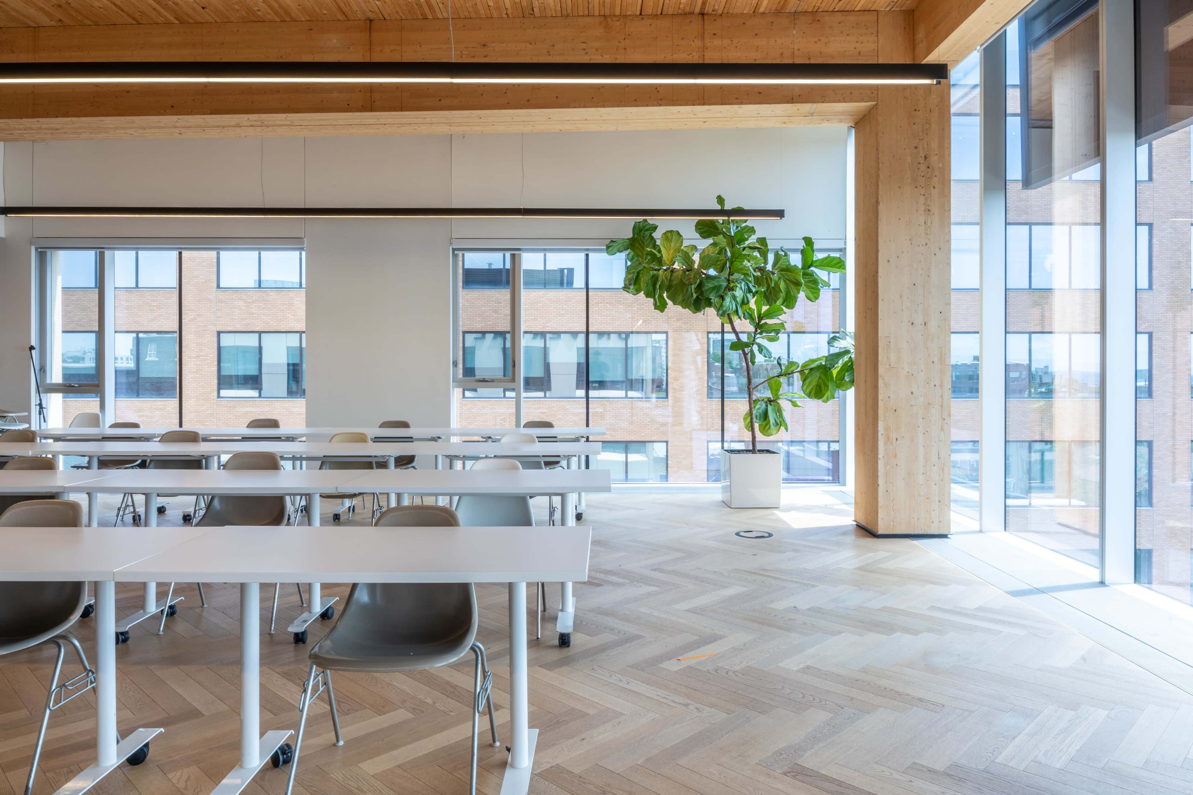 The image shows a bright, modern office space with wooden beams, large windows, and rows of white desks and chairs.