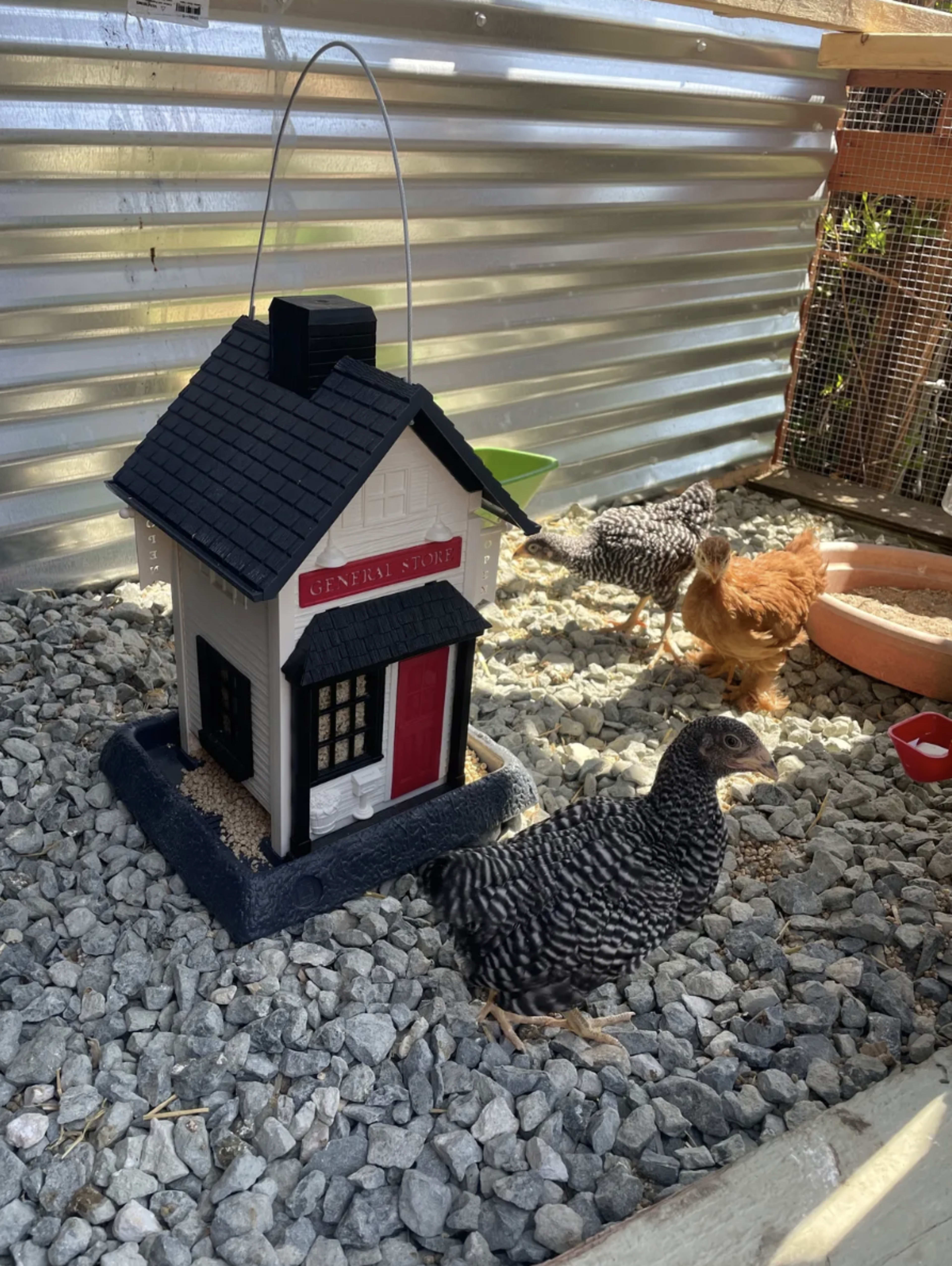 Charming Benicia Micro-Farm with Gardens + Panoramic Views Image in Benicia, Benicia, CA