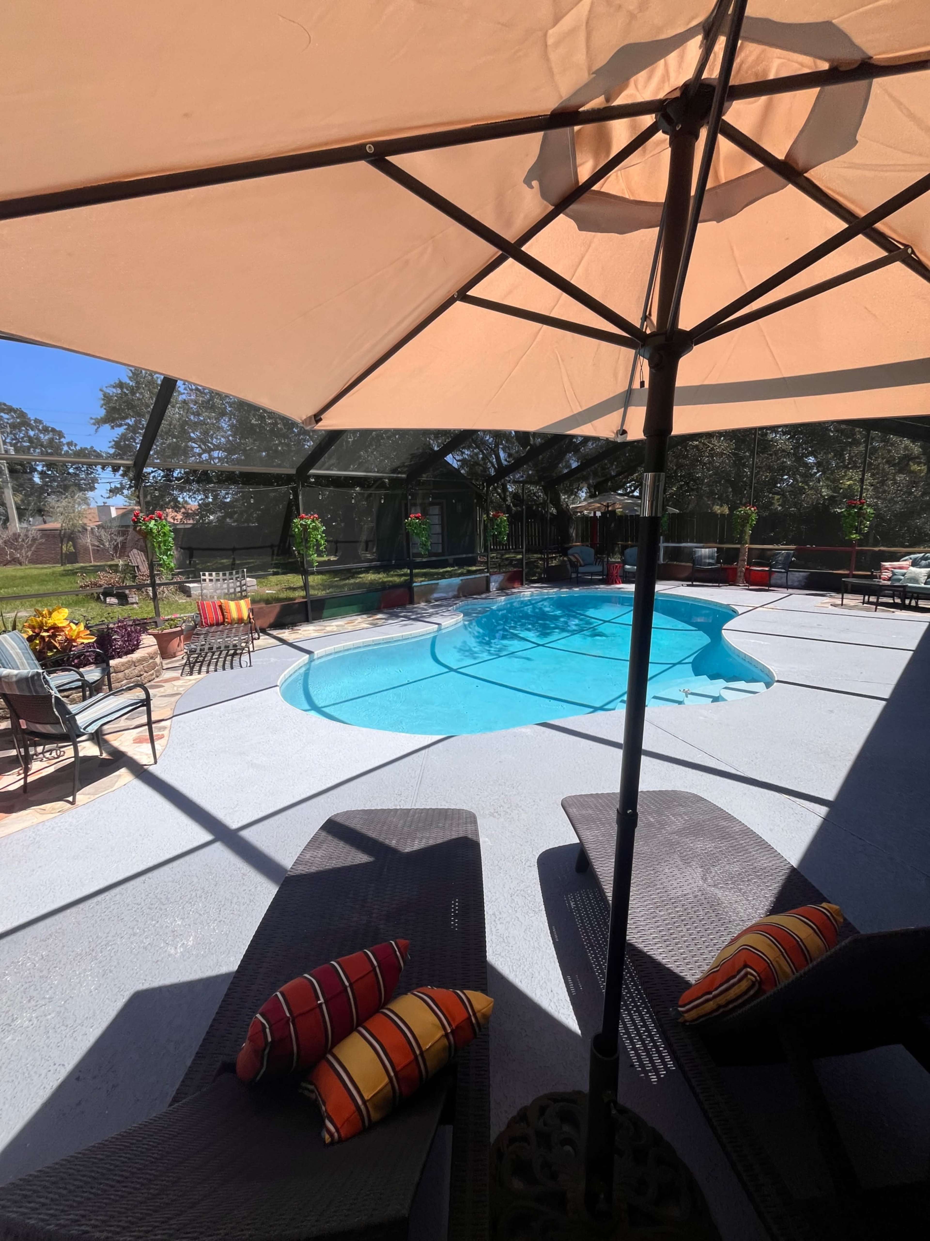 The image shows a swimming pool area with lounge chairs, colorful pillows, and shaded by a large umbrella.