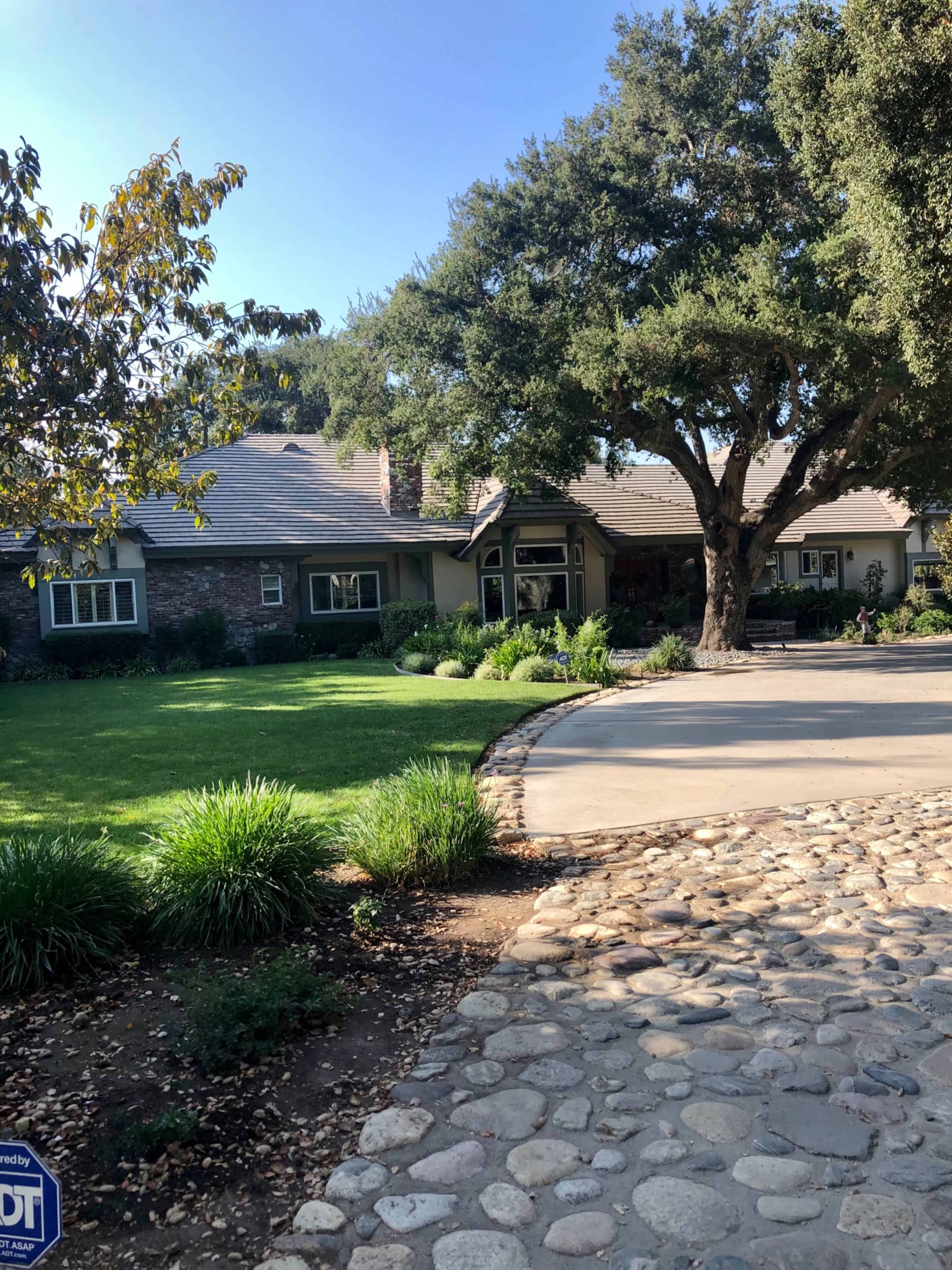 A stone pathway leads to a single-story house with a shaded front yard and large trees.