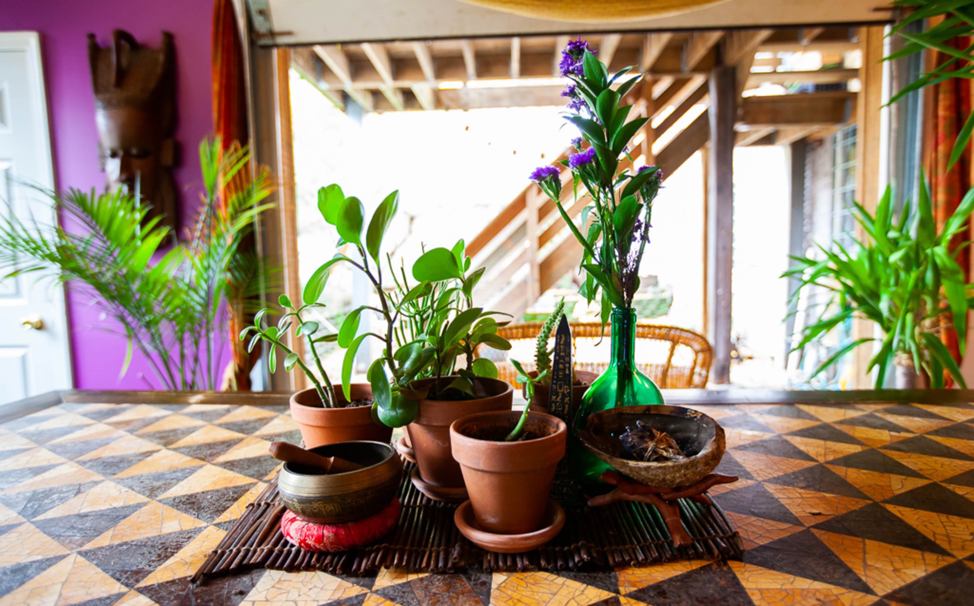 A collection of potted plants and decorative items is arranged on a patterned table, with natural light filtering through a nearby window.