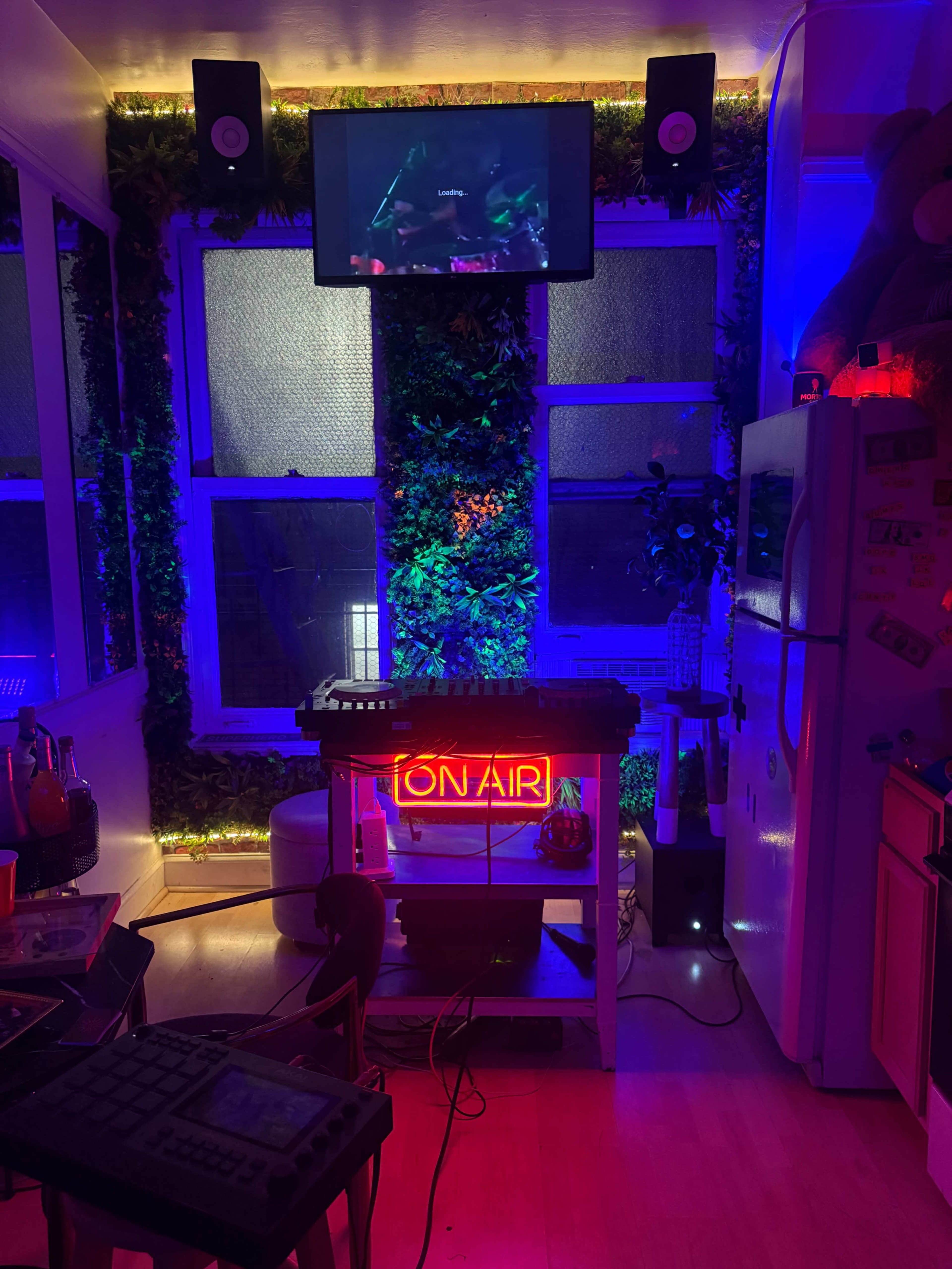 The image shows a cozy room adorned with greenery on the walls, featuring a neon "ON AIR" sign, a television, and illuminated speakers.