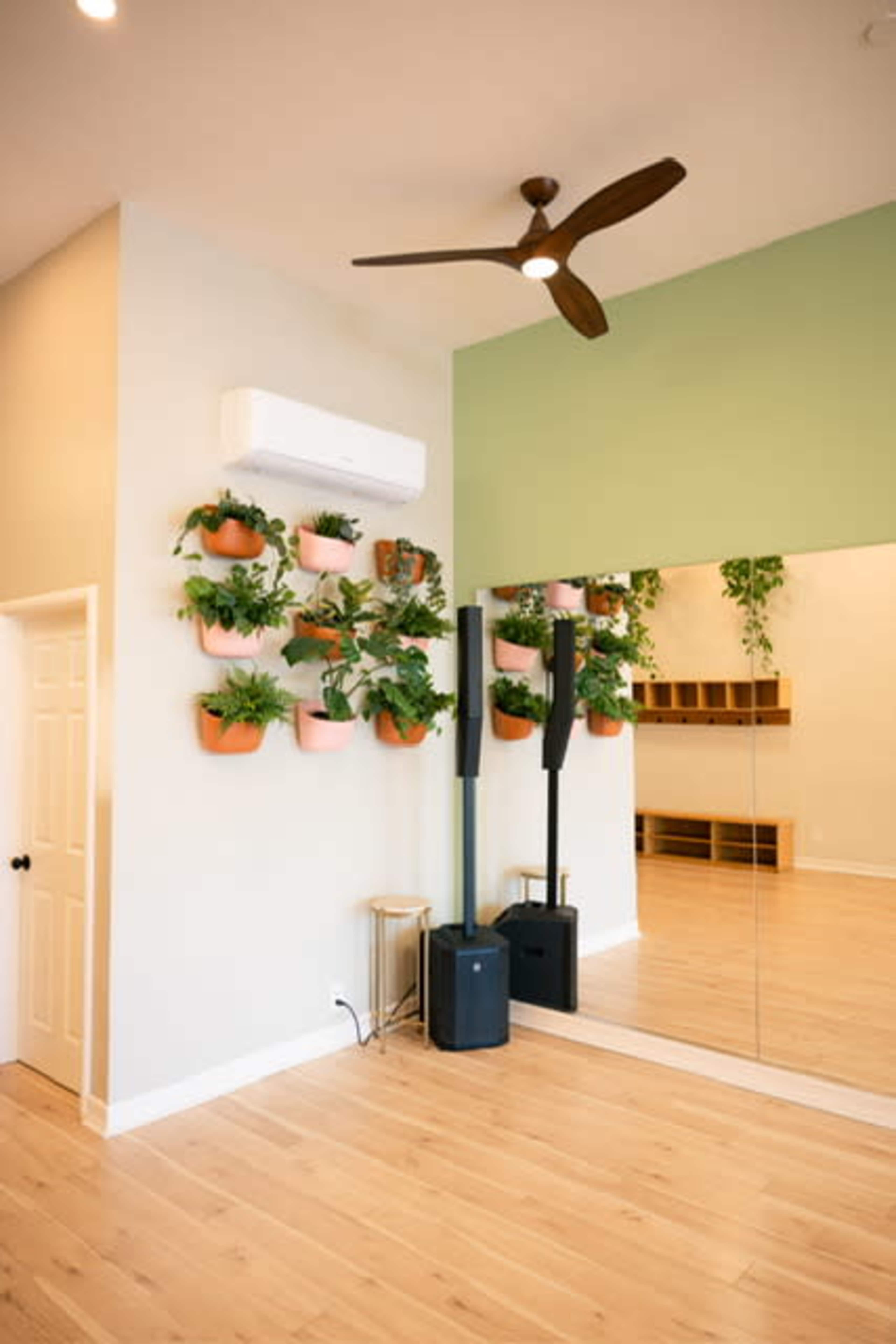 The image shows a bright room with a mirror, a ceiling fan, potted plants on the wall, and a black speaker beside a wooden storage unit.