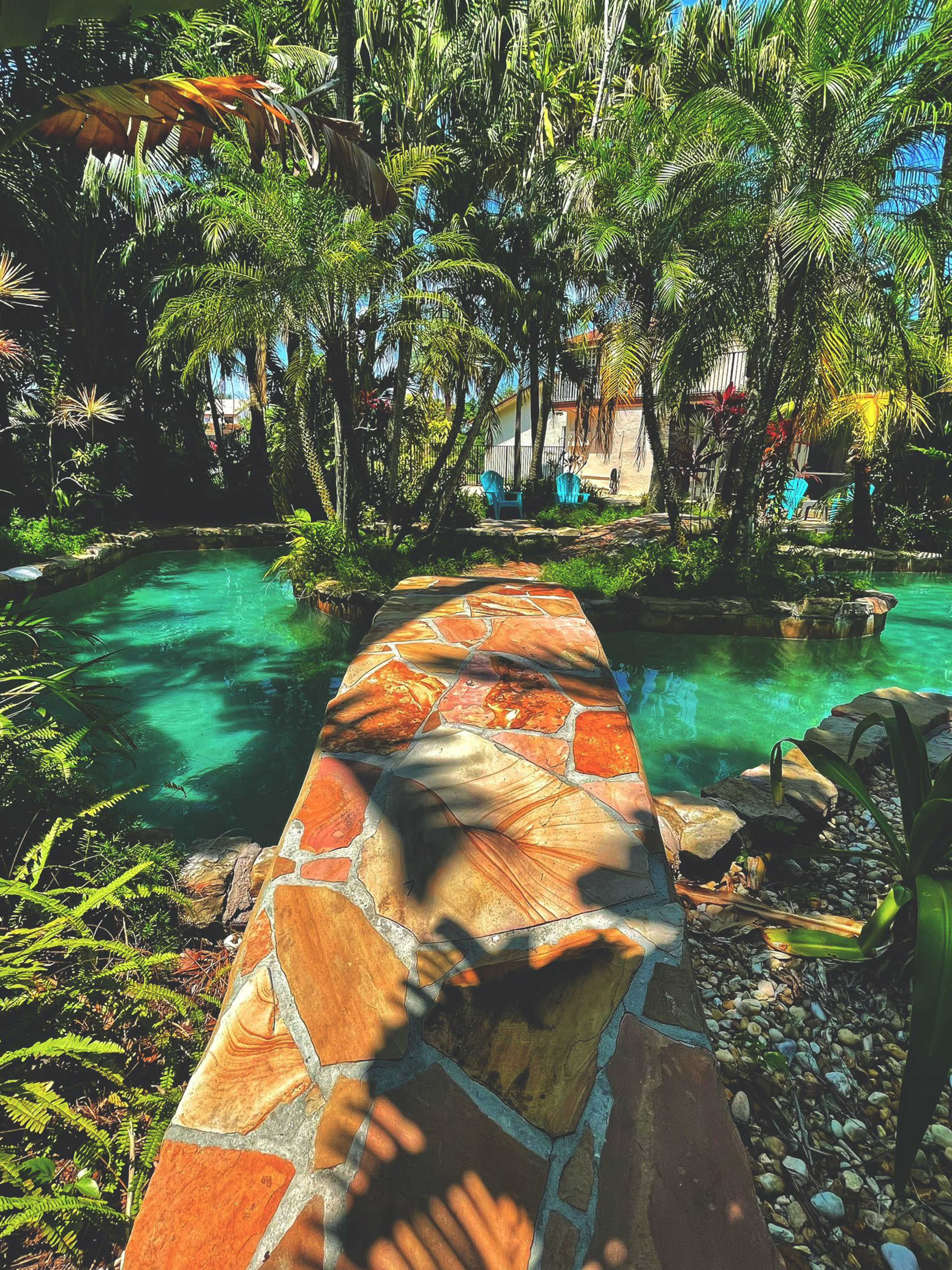 A stone pathway crosses over a green-tinted pond surrounded by lush tropical plants.