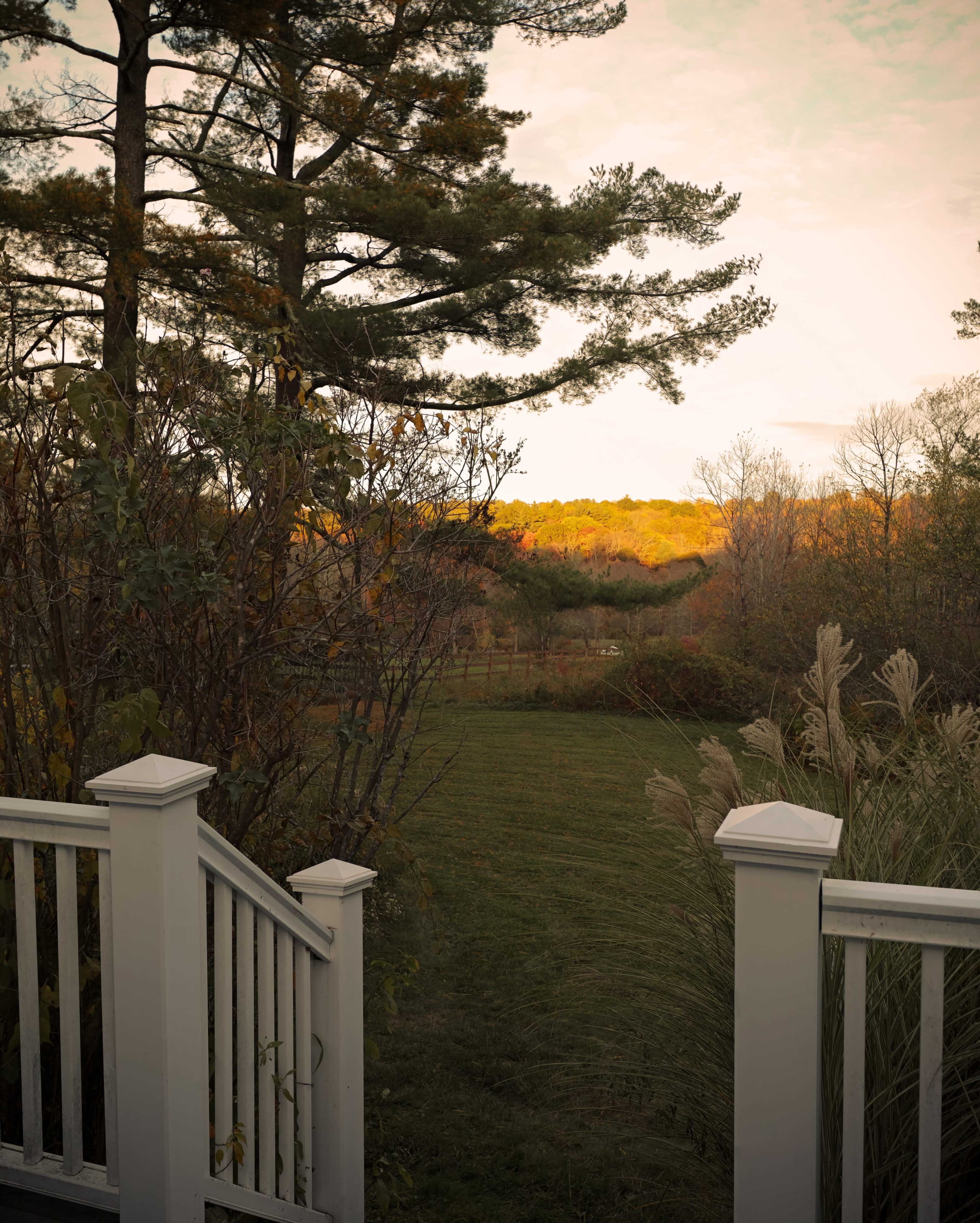 A wooden staircase leads down to a grassy area surrounded by trees and shrubs, with colorful foliage in the background under a soft sky.