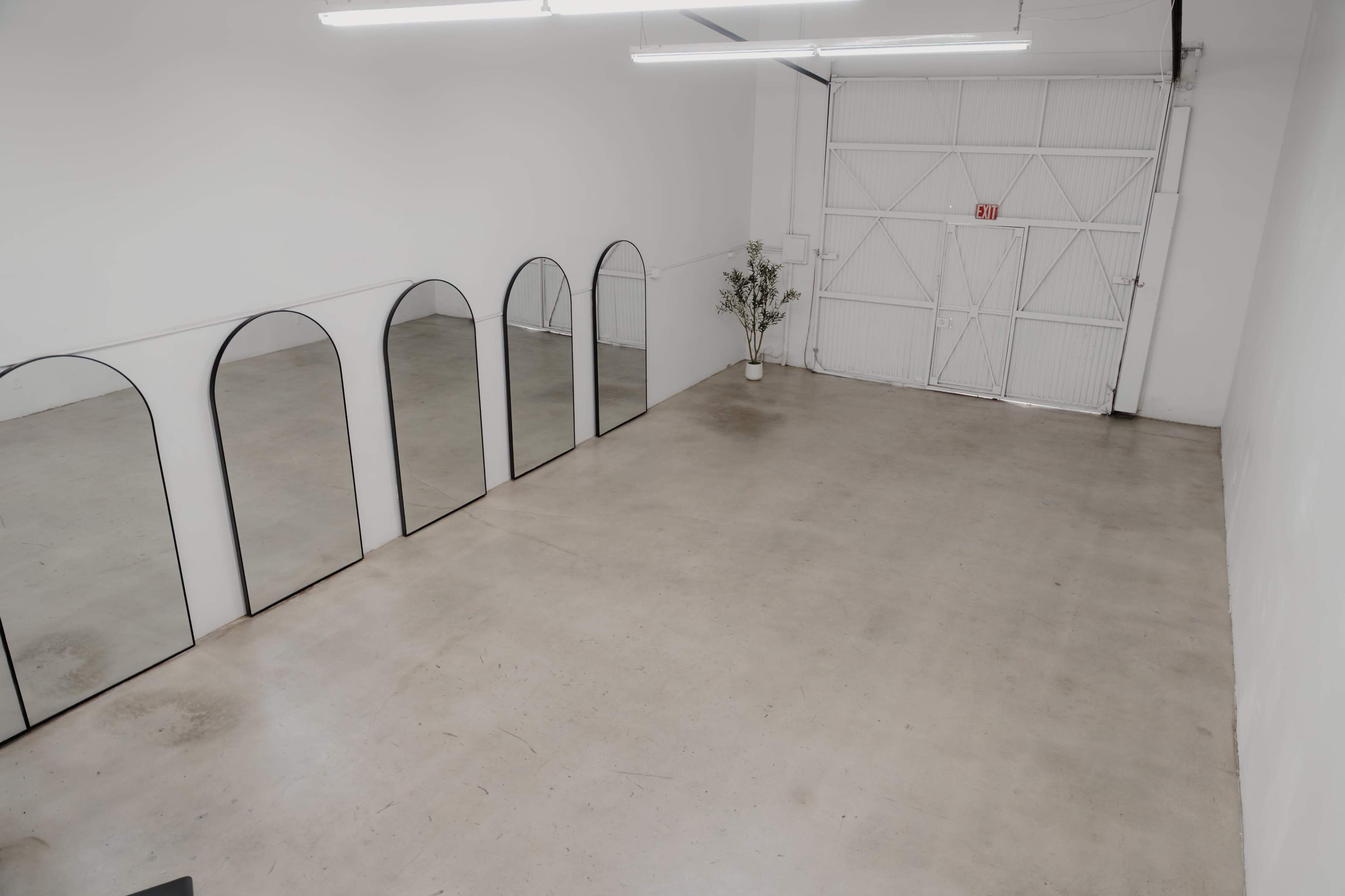 The image shows a spacious, empty room with a concrete floor and several arched mirrors lined against one wall, along with a small potted plant in the corner.