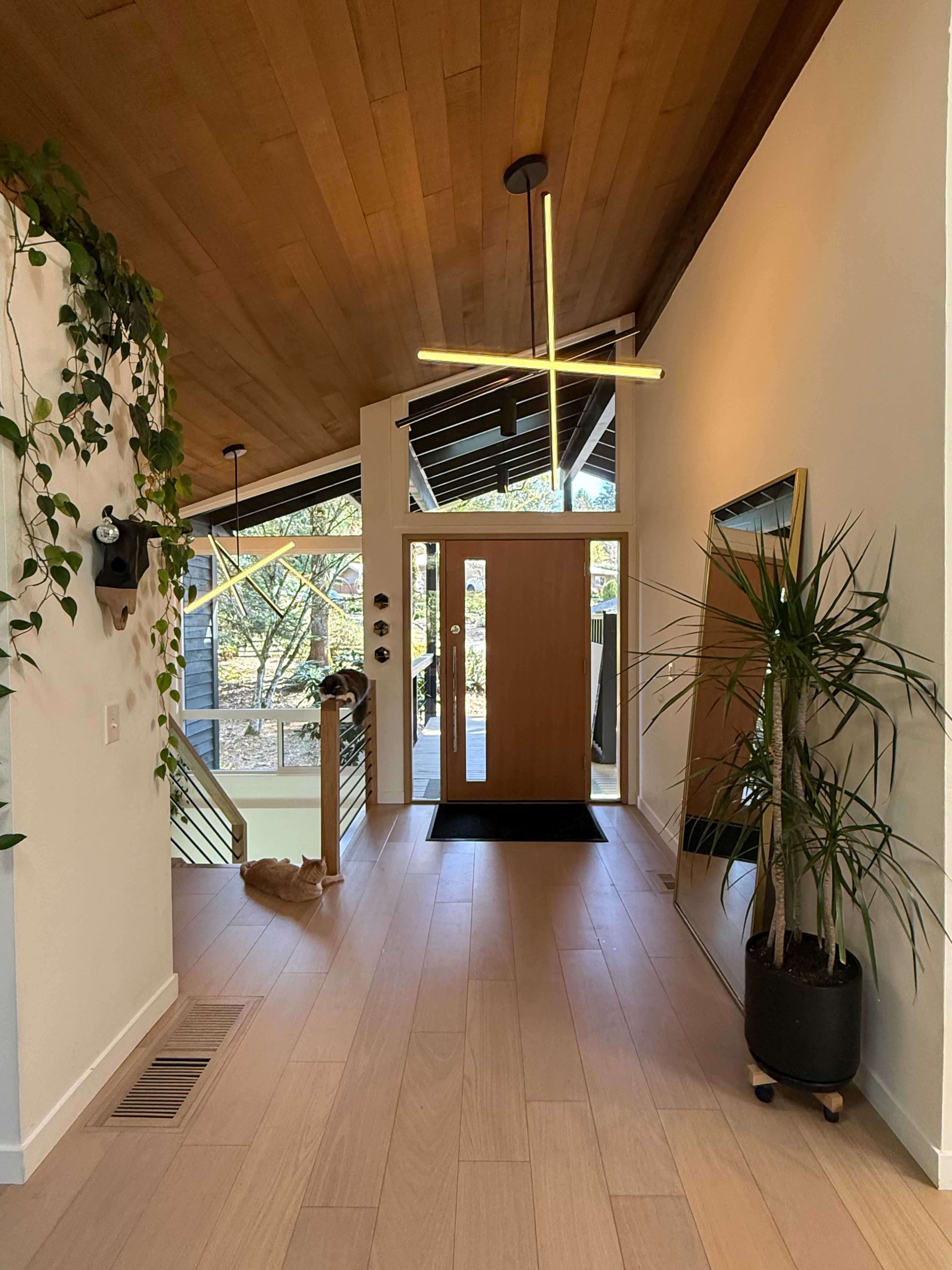 The image shows a modern entryway with a wooden ceiling, a large front door, and a decorative plant beside a mirror.